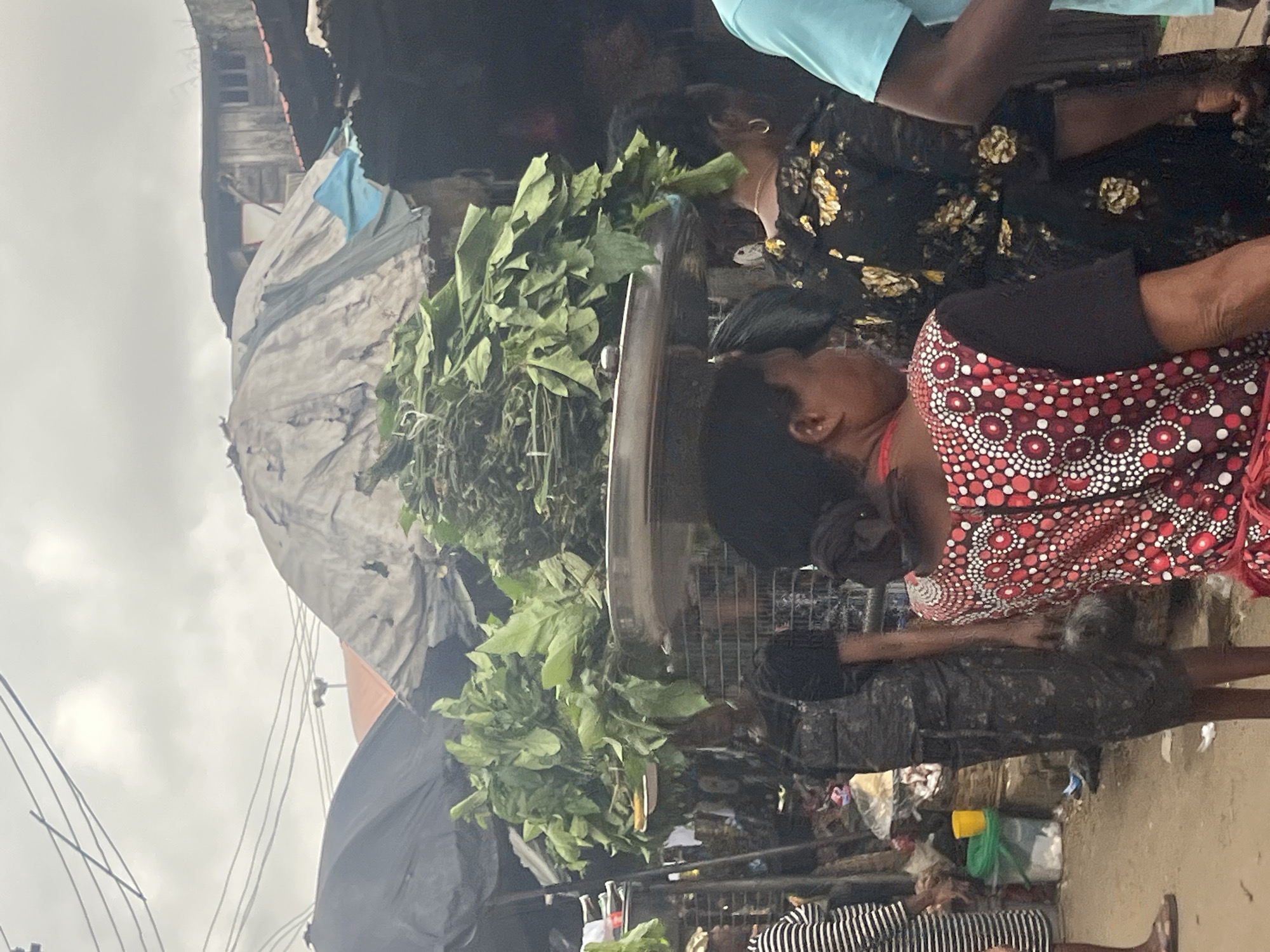 This image depicts a bustling outdoor market scene in Nkpor, Nigeria, under a cloudy sky. In the foreground, a woman with dark hair, wearing a red and white patterned apron over a black top, faces away from the camera. To her right, another woman in a black dress with a floral print is visible. To the left, a person in a black and white striped dress stands with their back to the viewer.
Dominating the mid-ground is a large display of fresh green leafy vegetables, piled high on a metal tray balanced on the head of an unseen person. Behind this, makeshift market stalls with tarpaulin coverings, some torn and weathered, are visible. The ground appears to be dusty earth. In the background, simple, weathered buildings and power lines suggest an urban or semi-urban environment. The overall impression is one of a vibrant, active marketplace.