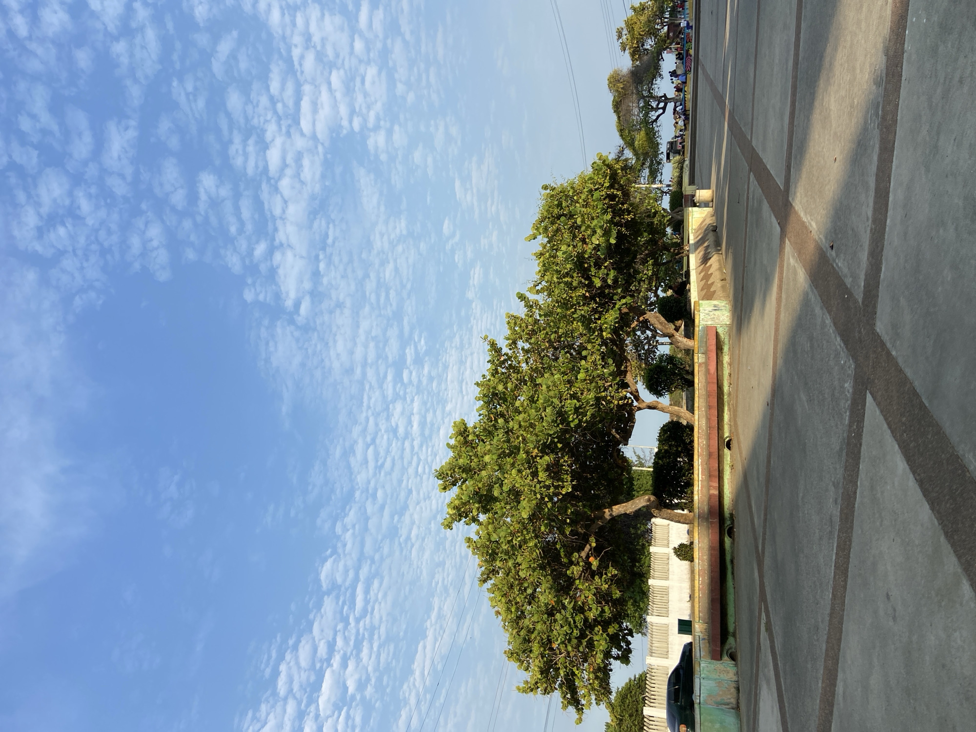 The image shows a daytime scene with a blue sky covered in small, puffy white clouds. In the midground are trees with green foliage. The ground is a concrete surface with dark stripes creating a geometric pattern. In the background, more trees are visible, and there appears to be a group of people sitting or standing. The location is indicated as Higuerote, Venezuela.