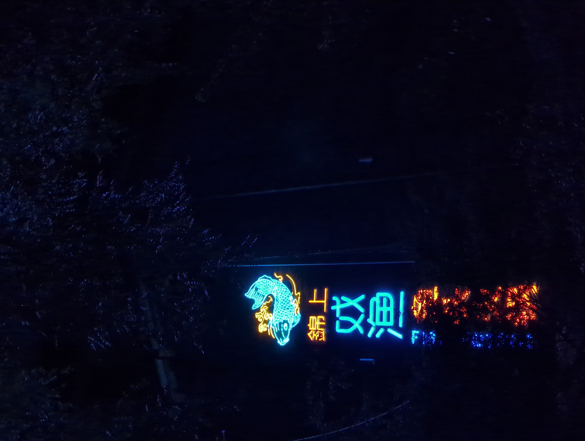 This is a nighttime photograph of a neon sign in Wuhou District, China. The sign is illuminated with various colors, predominantly blue, green, and orange, and features Chinese characters and a stylized image of a fish. The fish is depicted in turquoise neon, with orange neon accents around it. To the right of the fish, there are two columns of Chinese characters. The first column, in orange neon, appears to read "上 aquarium." The second column, in blue neon, is less distinct but seems to say "雙 寶" (Shuāng Bǎo). Below these characters, in smaller blue neon text, are the words "FM," followed by other unreadable characters that might be part of a radio station frequency or other identification. The background is dark, suggesting it is nighttime, and foliage is visible around the edges of the frame, creating a somewhat cluttered and natural setting for the artificial light of the sign. The neon lights are bright and create a vibrant contrast against the dark surroundings.