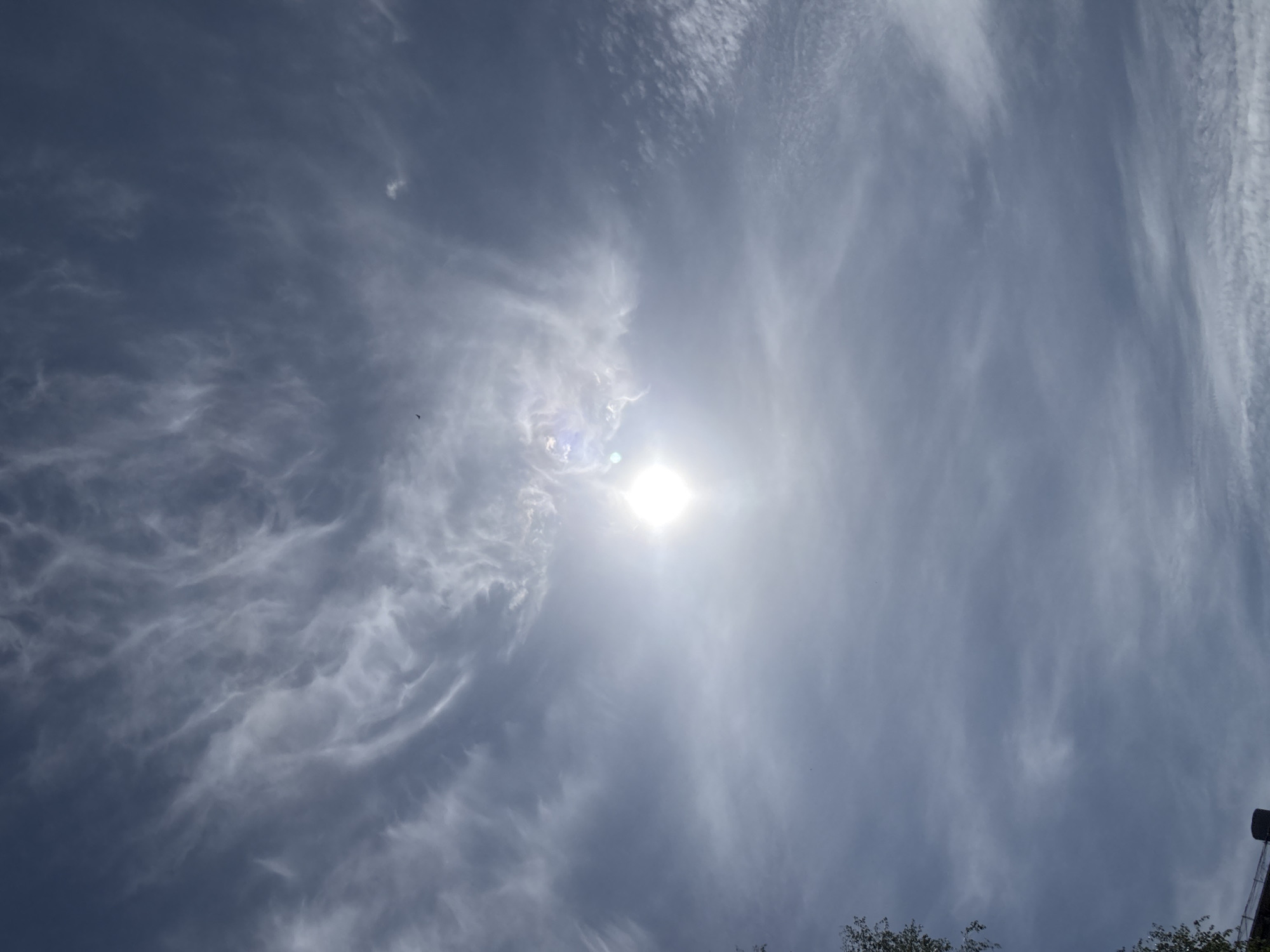 The image depicts a daytime sky with bright sunlight shining through a layer of wispy clouds. The sky has a bluish-grey tint. The sun is located near the center of the frame. Some trees are visible at the bottom right corner. A small, dark bird is visible in the left-center portion of the image. The location is Chaikovsky, Russia.