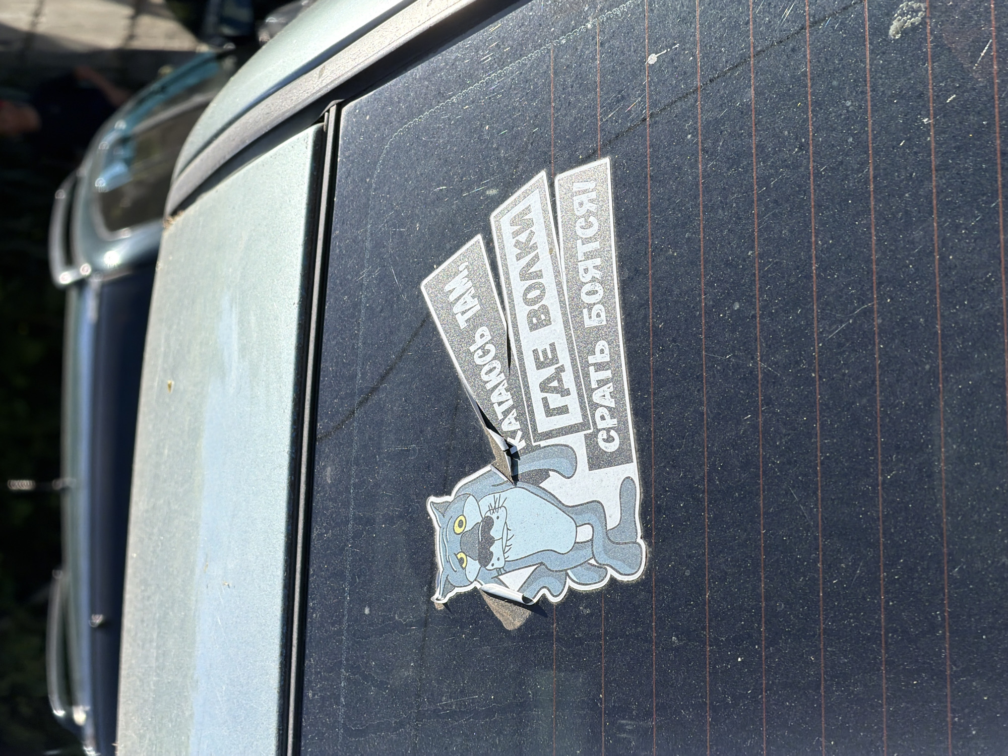 A cartoon wolf sticker with the text "КАТАЮСЬ ТАМ, ГДЕ ВОЛКИ СРАТЬ БОЯТСЯ!" (I ride where wolves are afraid to shit!) is affixed to the rear window of a light blue car parked in Sochi, Russia. The car appears to be dusty, and the sticker is partially torn and peeling. The background shows other cars and foliage, suggesting an outdoor parking area in a city.