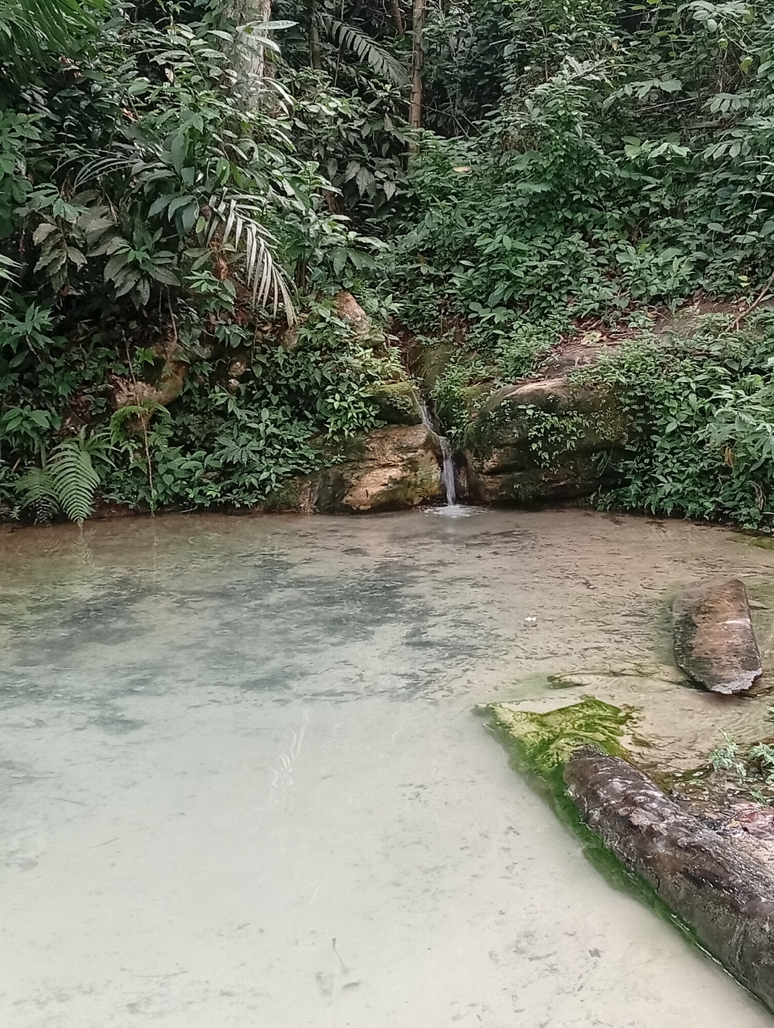 This is a still image of a natural landscape in Adda, Nigeria. The scene depicts a small waterfall cascading into a clear, shallow pool of water. The water is so clear that the sandy bottom is visible. Lush green vegetation, including ferns and various tropical plants, densely covers the surrounding rocks and the embankment of the pool. A fallen log, partially submerged in the water, lies on the right side of the frame. The lighting suggests it is daytime, likely in the morning or afternoon, with the light filtering through the dense foliage. There are no people or animals visible in the image. The overall impression is one of a serene, untouched natural setting.