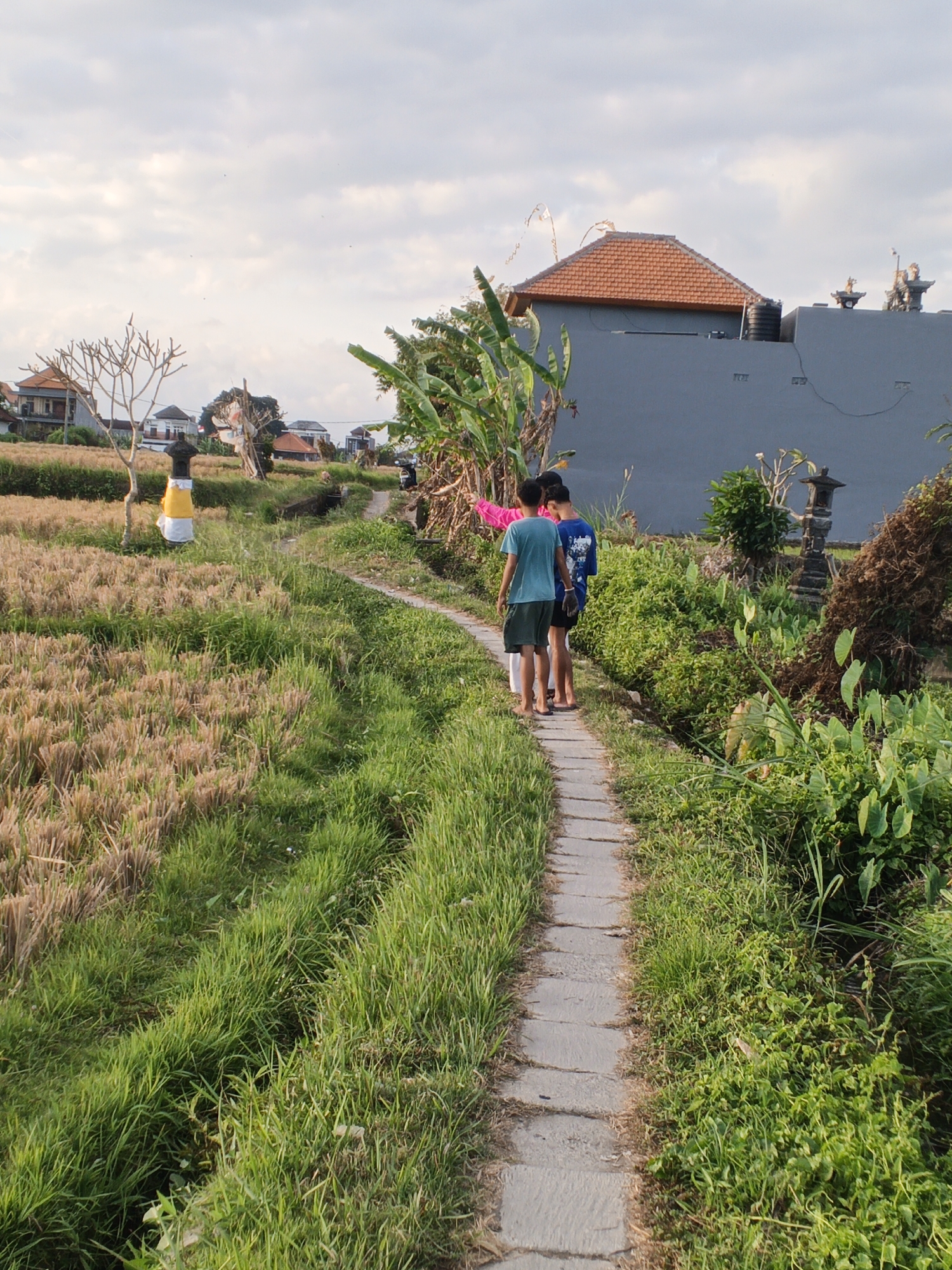 Two young boys walk along a narrow concrete path in a rural area of Sukawati, Indonesia. The path is bordered by lush green grass on the right and a field of harvested rice stalks on the left. In the background, traditional Balinese houses with terracotta roofs are visible, along with banana trees and other tropical vegetation. The sky is partly cloudy. The boy in the foreground is wearing a blue t-shirt and dark shorts, while the boy behind him wears a blue t-shirt with a graphic print and black shorts. The boy in front is pointing towards something off-camera.