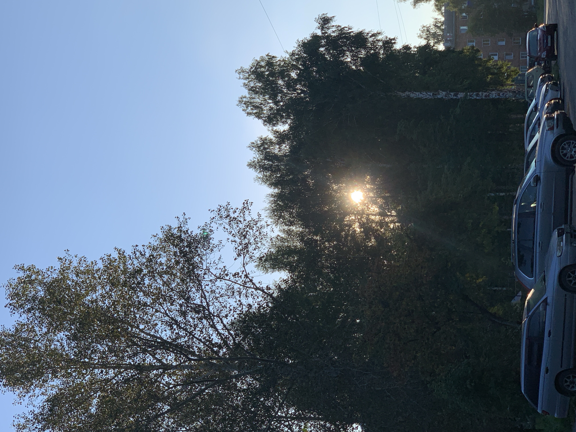 This image depicts a view of a residential area in Prokopyevsk, Russia, characterized by apartment buildings and parked cars. The scene is bathed in the warm light of a setting sun, which is partially obscured by a dense line of trees. The sun's rays create a lens flare effect, adding a dramatic touch to the sky, which is clear and a pale blue. In the foreground, several cars are parked in what appears to be a parking lot or street. Among them, a silver station wagon is prominent on the left, followed by several other vehicles including SUVs and sedans. Behind the line of trees, a multi-story brick apartment building with numerous windows is visible, indicating a typical urban residential setting. The overall impression is one of a quiet evening in a Russian city, with nature and urban life coexisting. There are no people visible in the frame.