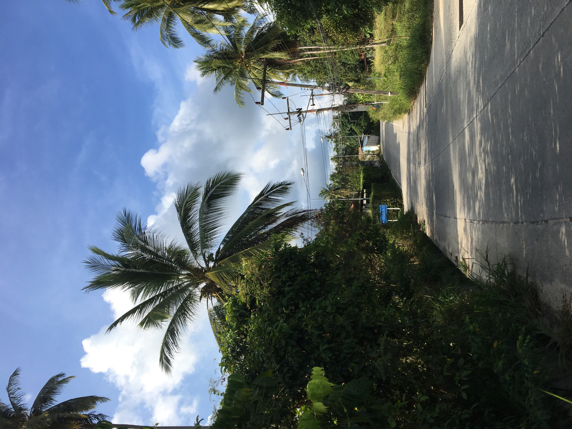 A road in Baan Tai, Thailand, is framed by palm trees and dense vegetation. The asphalt road leads into the distance, partially shaded by the trees. Power lines stretch above the road. The sky is blue with scattered white clouds.
