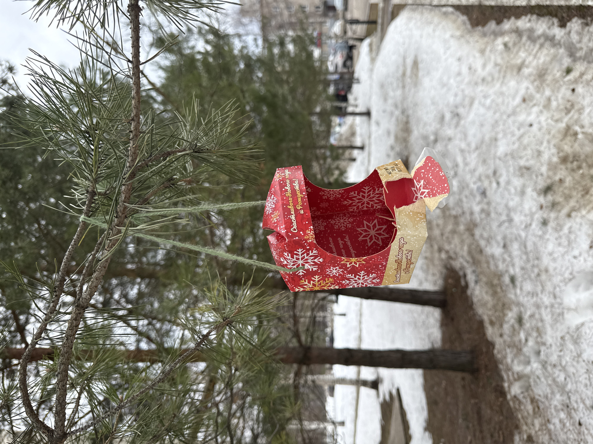 The scene is an outdoor, daytime shot in what appears to be the city of Chaikovsky, Russia. Snow covers the ground, suggesting a winter setting.
A red and gold cardboard container with snowflake designs and text in Russian ("Счастливого Нового года и Рождества!") hangs from a pine tree. The text translates to "Happy New Year and Christmas!". The container is suspended by thin green strings, likely used as makeshift hangers attached to the tree's branches. The object is possibly a candy or food container.
In the blurred background, there are more trees, possibly forming a small park or urban green space, and a sidewalk or path covered with snow. In the far distance, there are apartment buildings and parked cars. The sky is overcast.