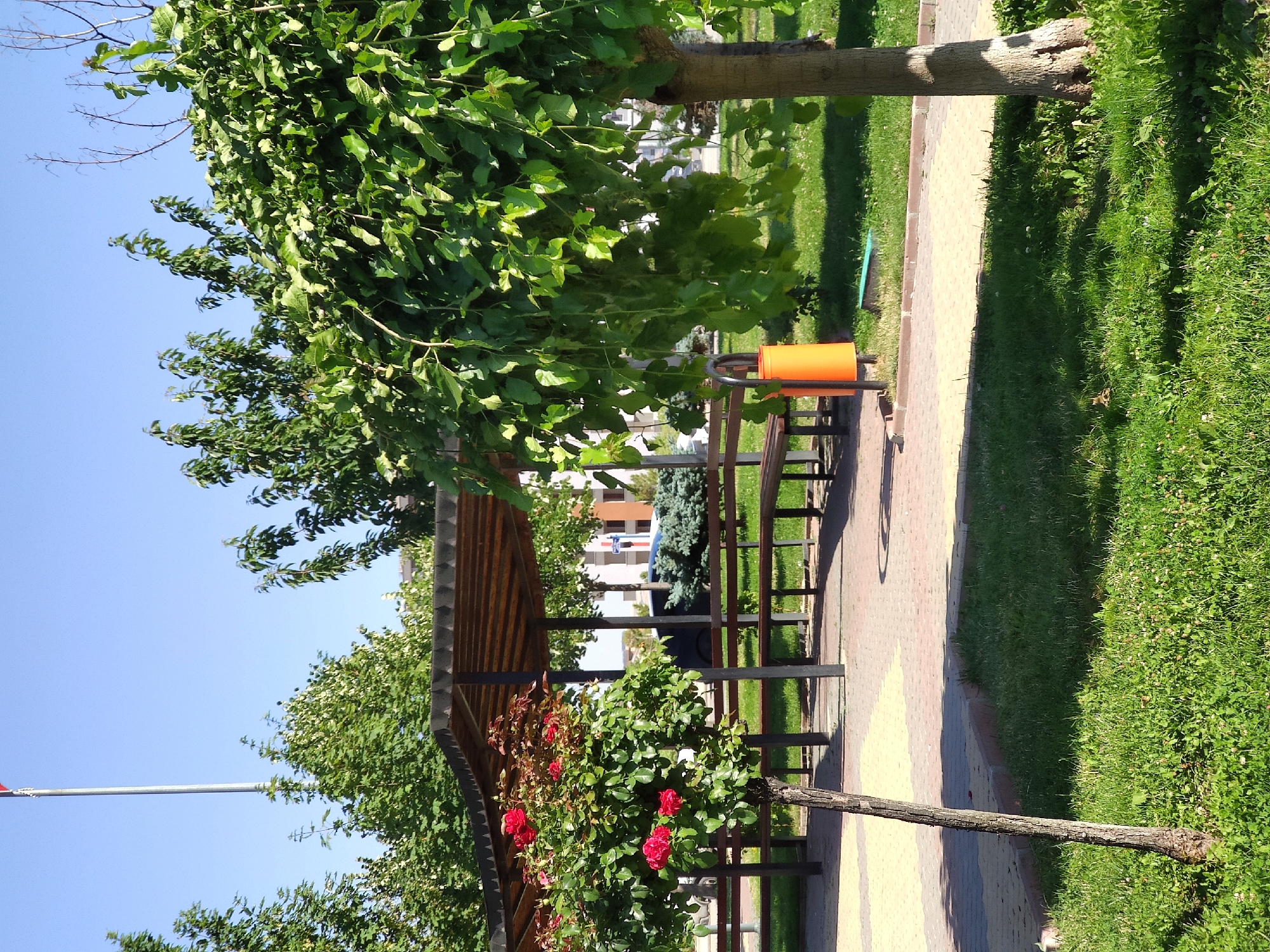 The image shows a public park area with a covered seating area and trees. A flagpole with a red and black flag is visible in the background against a clear blue sky. There is a rose bush with red flowers in the foreground, to the left of the seating area. Several trees with green foliage are present, with one particularly large tree with weeping branches dominating the right side of the frame. An orange trash bin is situated near the seating area, and park benches are visible under the shelter. The ground is paved with patterned tiles and bordered by grass. The scene appears to be in Etimesgut, Turkey, given the presence of a flag that resembles the Turkish flag.