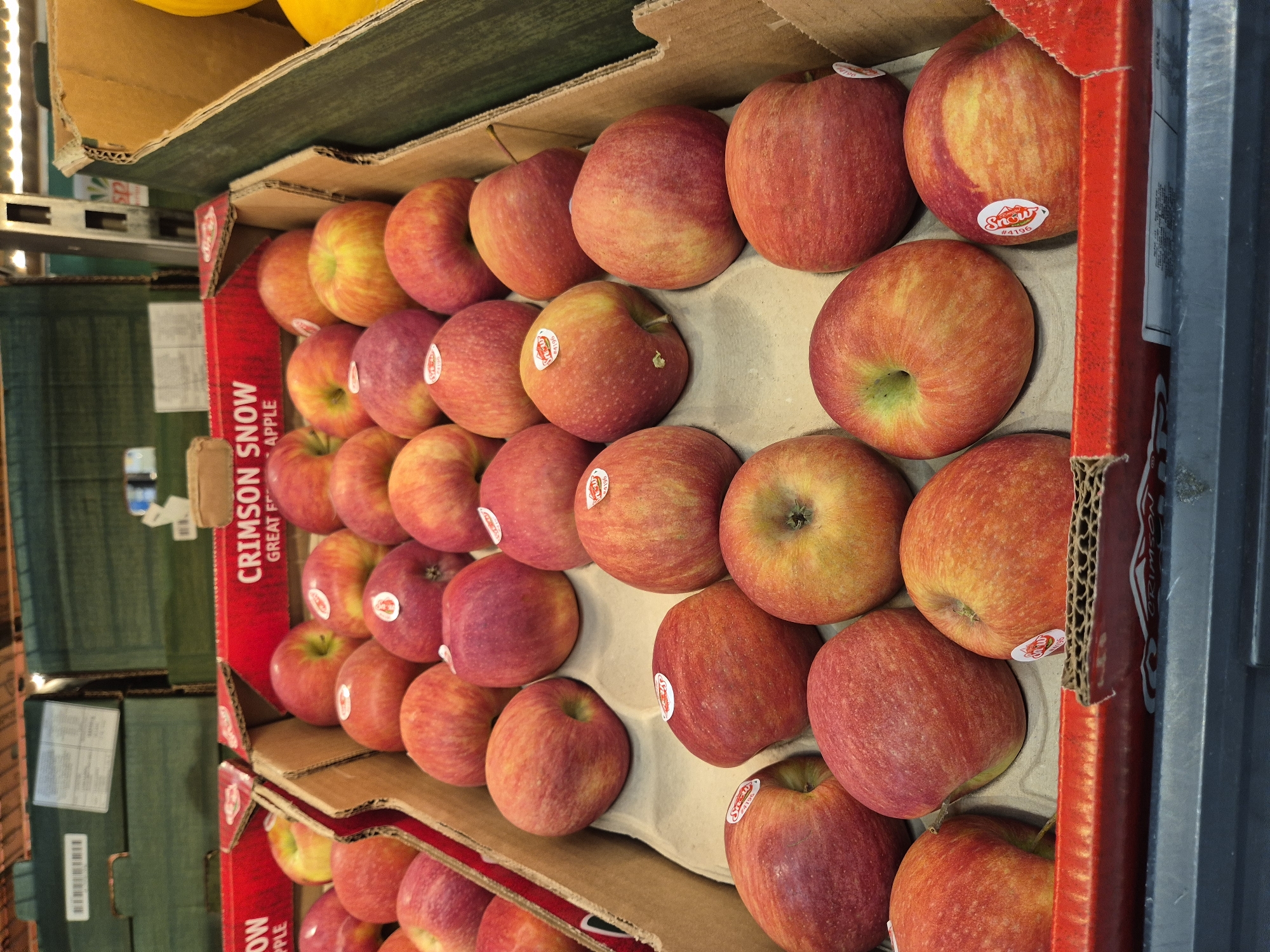 This is a high-angle, full shot of a display of Crimson Snow apples in a grocery store or market. The apples are red and yellow with some green undertones, and many have small white stickers with red text. They are arranged in a cardboard box with molded dividers to separate them. The box is part of a larger display, with other boxes and produce visible in the background, including some green boxes and a yellow item. The lighting appears to be artificial. The scene is indoors.