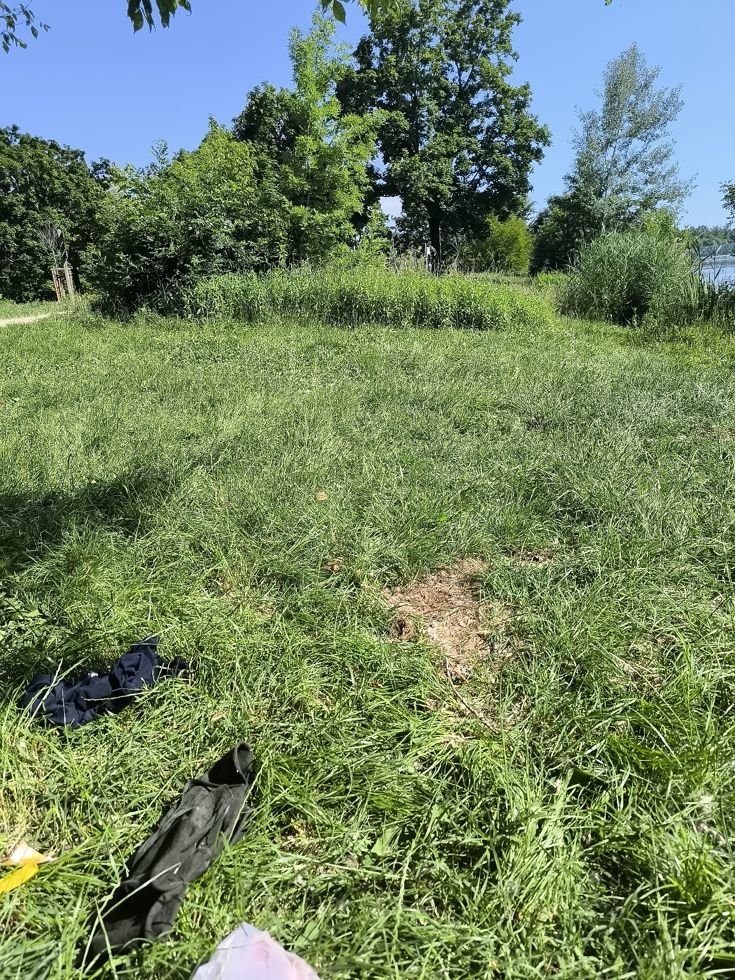 The image depicts a grassy area in Chézenas, France, under a clear blue sky with scattered trees in the background. The ground is covered in green grass, with a patch of bare earth visible in the middle ground. A black garment, possibly clothing, is lying on the grass in the foreground, along with some other indistinguishable objects. In the background, there's a line of trees and vegetation, with glimpses of what appears to be a body of water on the right side. The scene gives the impression of a park or open space. No people are visible in the frame.
