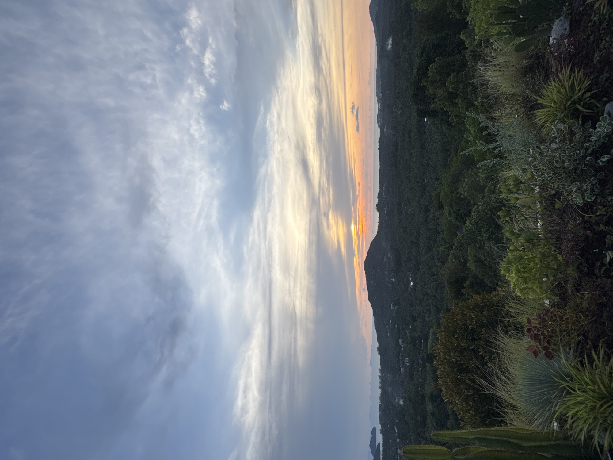 Captured at dusk, the image reveals a dramatic sky gradient transitioning from deep blue to pale yellow. The sun, partially obscured by a mountain silhouette, casts rays through the cloud cover. Lush, verdant vegetation, including various plants, fills the lower right corner, suggesting a garden or hillside. Situated in Baan Nai Suan, Thailand, the scene overlooks a densely forested area punctuated by scattered buildings.