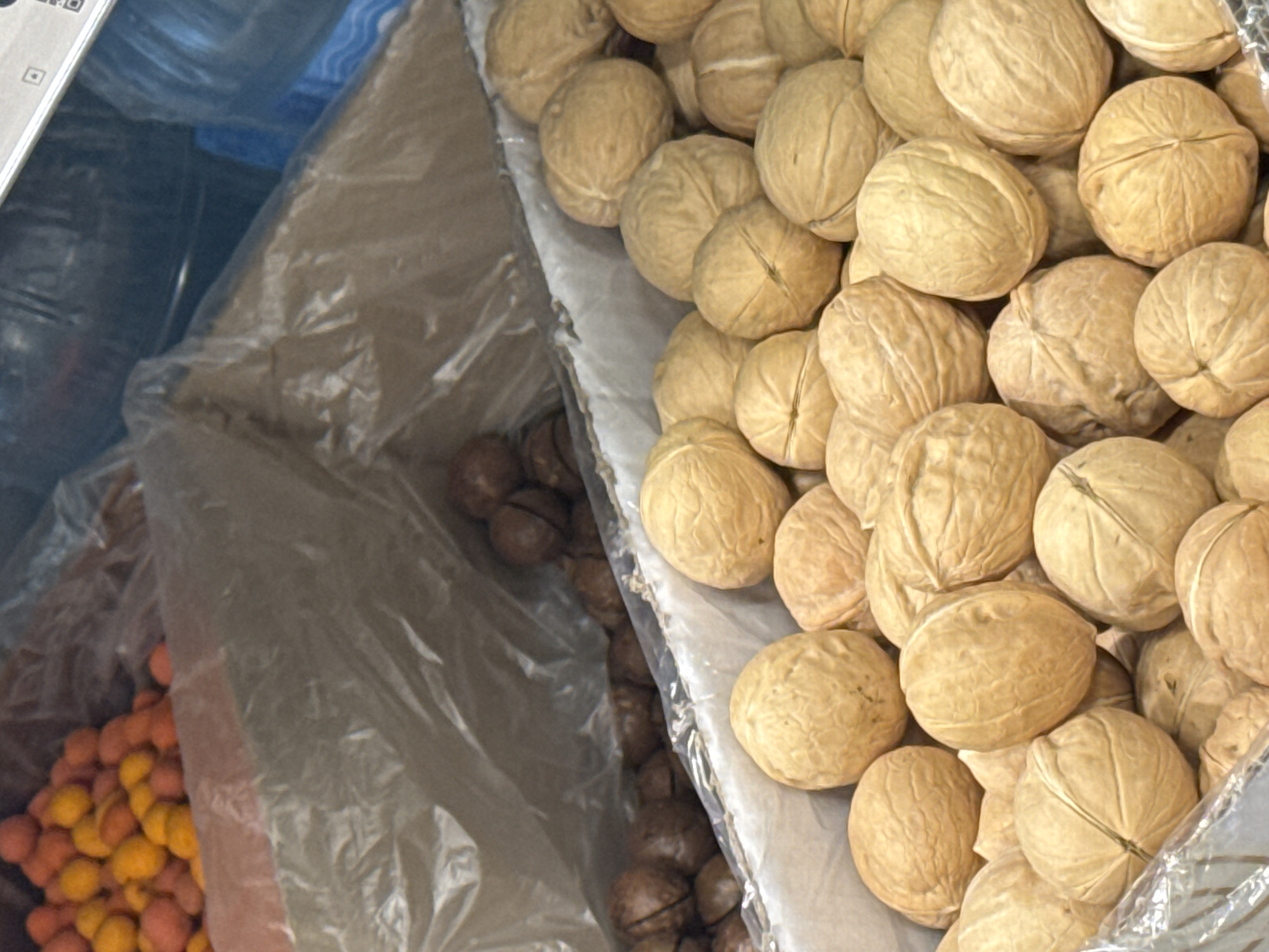 The image displays a close-up, overhead view of bulk food products, specifically nuts, within a retail setting in the city of Chaikovsky, Russia. The foreground and center of the frame are occupied by a dense arrangement of light beige to light brown walnuts in their shells, contained within a white-lined receptacle, likely a cardboard box with a clear plastic liner. Directly behind and to the left of the walnuts, a second container holds a quantity of dark brown macadamia nuts in their shells, similarly housed within a clear plastic liner inside a box. In the upper left background, a third container reveals a mass of small, spherical items in varying shades of orange and pink, also contained within a clear plastic lining. The upper right portion of the image shows a partial view of a blue object and a white surface featuring a black square icon, consistent with a QR code or similar marking. No individuals are visible in the scene.