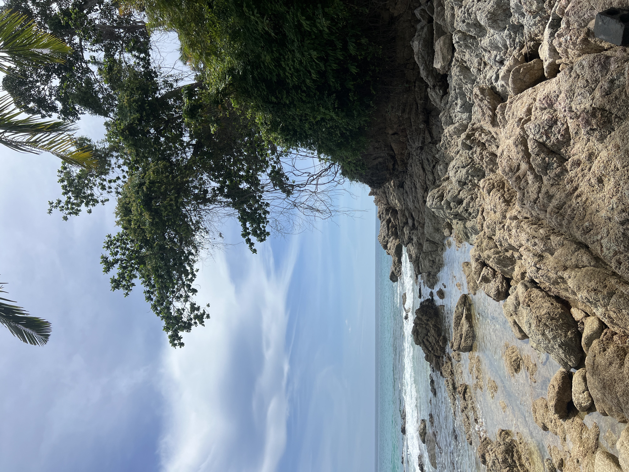 The image depicts a tropical coastline with a rocky shore and lush vegetation. The scene is shot from a low angle, looking upwards towards a canopy of green leaves and branches that overhang the frame. A palm frond is visible on the left, suggesting a tropical or subtropical location. The sky is a clear blue with scattered white clouds, indicating fair weather. The sea is a calm turquoise, meeting the shore with gentle waves. The foreground is dominated by large, weathered rocks, some of which are partially submerged in shallow water, creating a natural tidal pool effect. The rocks have a rough, textured surface, characteristic of coastal erosion. The overall mood of the image is serene and natural, conveying a sense of peace and tranquility. The lighting suggests it is daytime, likely late morning or early afternoon, given the bright sunlight illuminating the rocks. The location context provided is Choeng Thale, Thailand, which aligns with the visual cues of a tropical beach environment. There is no visible text in the image.