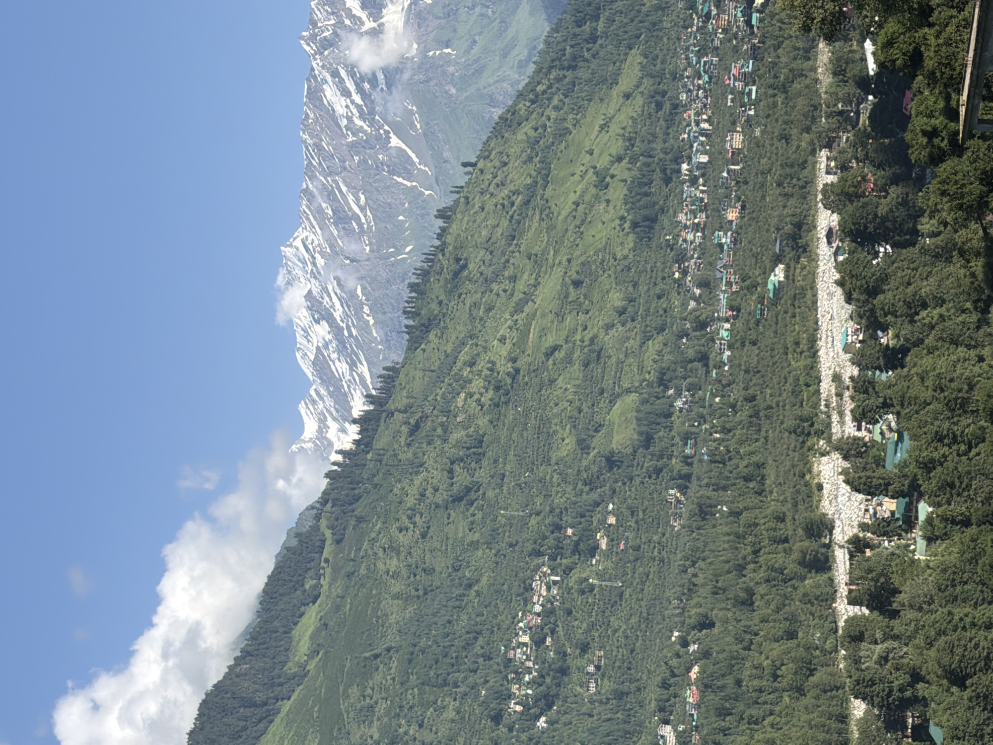 The image depicts a broad view of the town of Bahang, India, nestled within a valley at the base of a lush green mountain range. The mountains are densely covered with trees, with a scattering of houses and buildings visible on the slopes. In the background, towering snow-capped peaks rise majestically under a clear blue sky with scattered white clouds. The town itself appears to be a collection of low-rise buildings with colorful roofs, many of which are situated on terraces carved into the mountainside. The lower part of the image shows more dense forestation with a riverbed visible. There are no people or animals visible in the image. The scene is tranquil and scenic, showcasing the natural beauty of the Himalayan region.