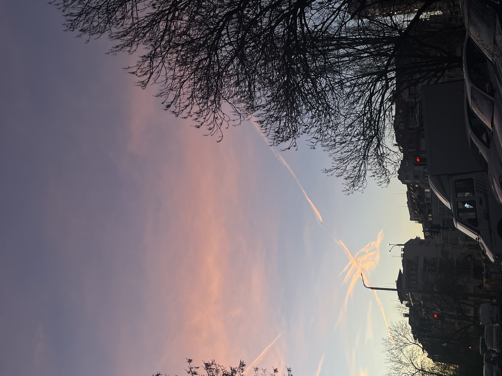 Here's a description of the image:
The image appears to be taken in an urban environment, possibly a street in Sofia, Bulgaria. The foreground is dominated by bare tree branches silhouetted against a sky exhibiting a mix of pastel colors, ranging from pink to purple and blue, likely at sunset. Contrails crisscross the sky, forming an X-shaped pattern. In the background, there are buildings and vehicles, including cars and vans. The lighting suggests that it's either dawn or dusk. There are street lights, and a building has a red light on it, possibly a traffic signal or building marker. The overall impression is of a cityscape at a transitional time of day.