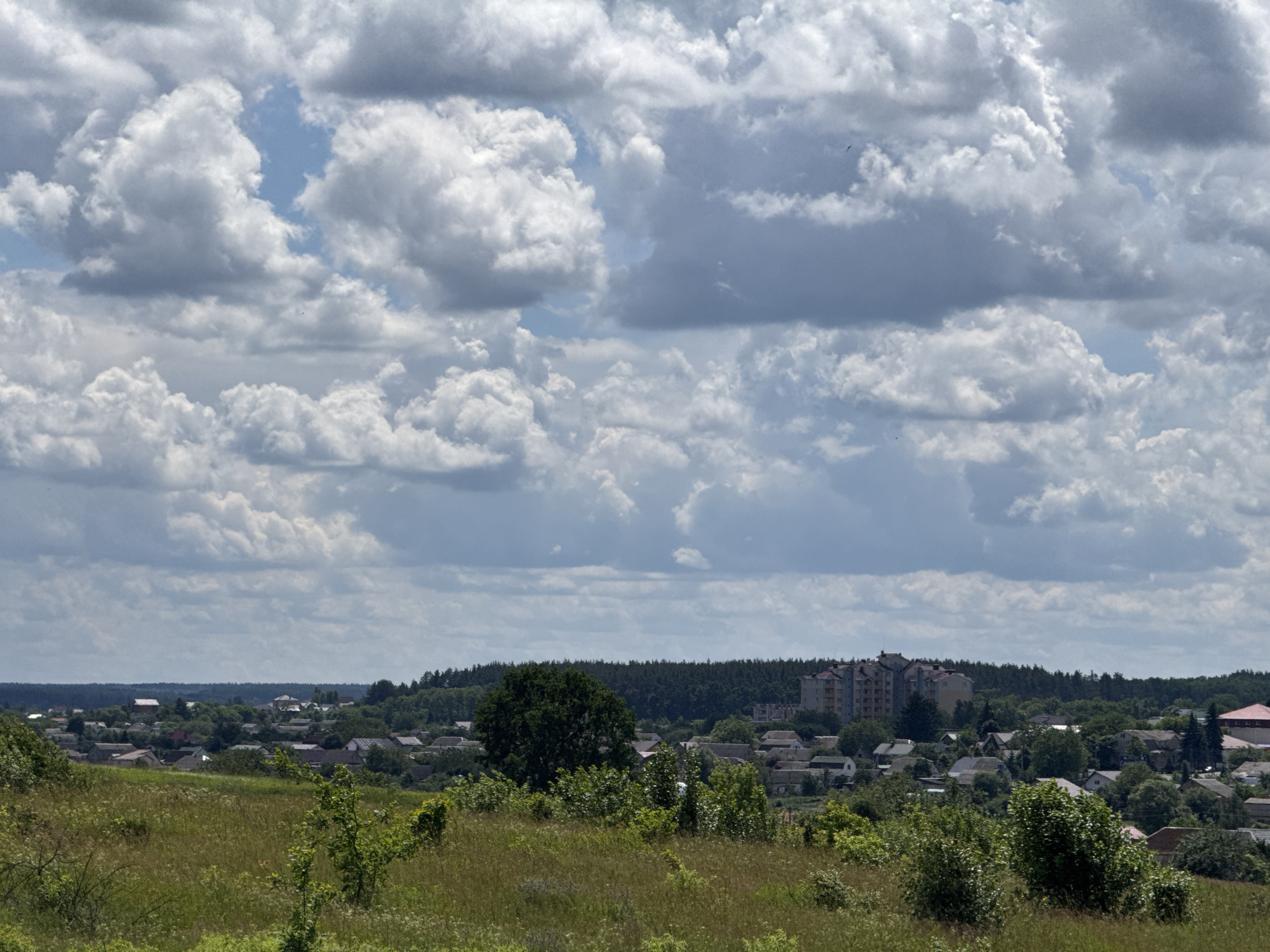 The image depicts a panoramic view of a town nestled amidst rolling green hills under a dramatic sky filled with white and gray clouds. In the foreground, a grassy hill slopes downwards, dotted with scattered bushes and trees. The middle ground reveals a village with numerous houses, characterized by their varied roof colors and architectural styles. A dense forest forms a dark green backdrop behind the village, with a distinctive multi-story building, possibly an apartment complex, visible on the right side of the frame. The sky dominates the upper portion of the image, showcasing a dynamic interplay of sunlight and shadow on the billowing clouds.