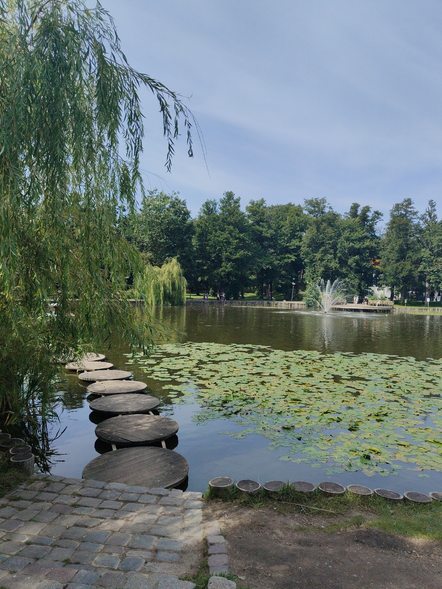 The image depicts a serene park scene in Zelenogradsk, Russia, on a clear day with a bright blue sky. In the foreground, a path made of cobblestones leads to a series of large, round wooden stepping stones that cross a tranquil pond. The pond is densely covered with lily pads, creating a vibrant green surface on the dark water. On the left side of the pond, a weeping willow tree drapes its long, slender branches over the water, adding a touch of natural elegance.
In the middle ground, a fountain sprays water into the air, creating a picturesque display. People can be seen walking on a wooden boardwalk that extends into the pond near the fountain, some are sitting on benches, and others are casually strolling. The background is dominated by a lush line of mature trees forming a dense forest, which borders the park. The overall impression is one of a peaceful and well-maintained urban oasis.