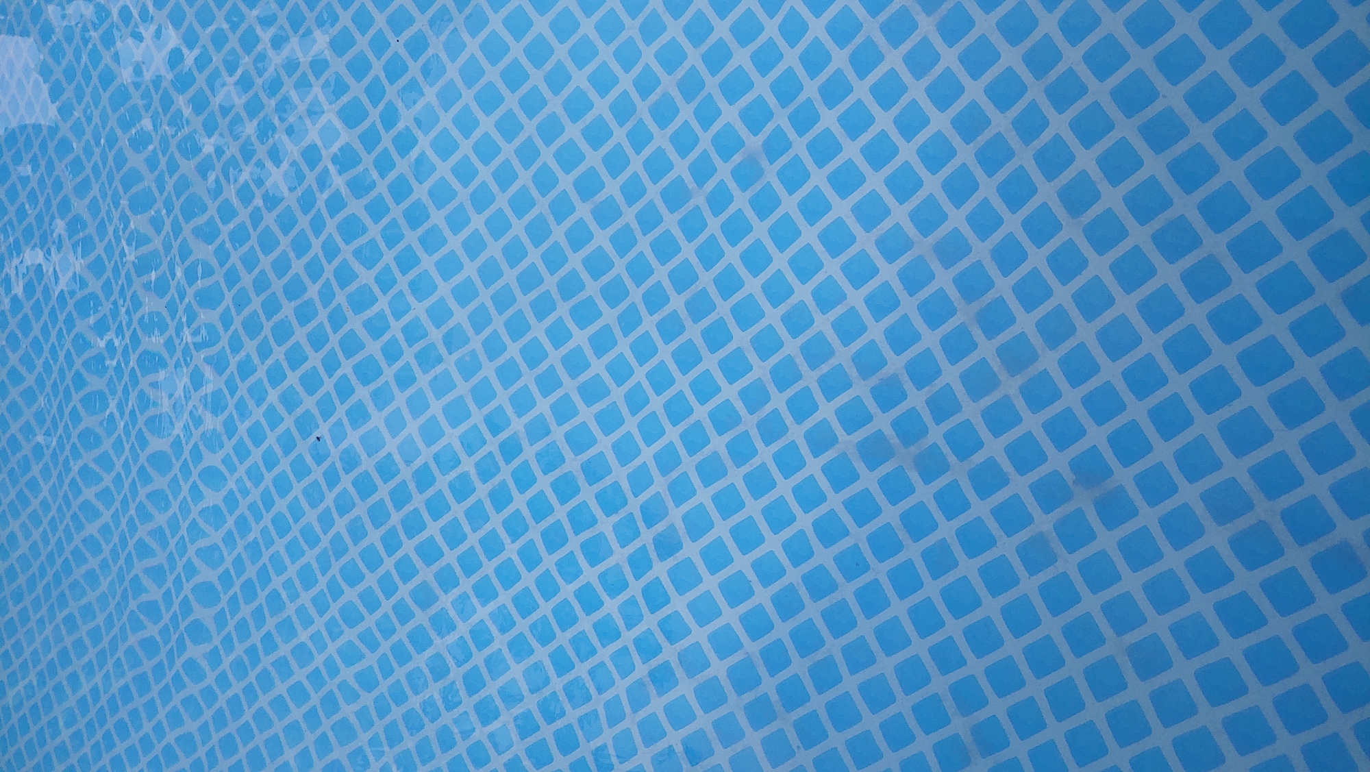 This is a close-up, overhead shot of the patterned bottom of a swimming pool. The pool liner is a bright blue with a white grid pattern of rounded squares. The water level is high, obscuring the very edges of the pool and creating subtle ripples that distort the pattern. There is a small dark speck floating on the surface of the water, possibly an insect. The lighting suggests it is daytime. The location in Mukachevo, Ukraine, cannot be determined from the image alone.