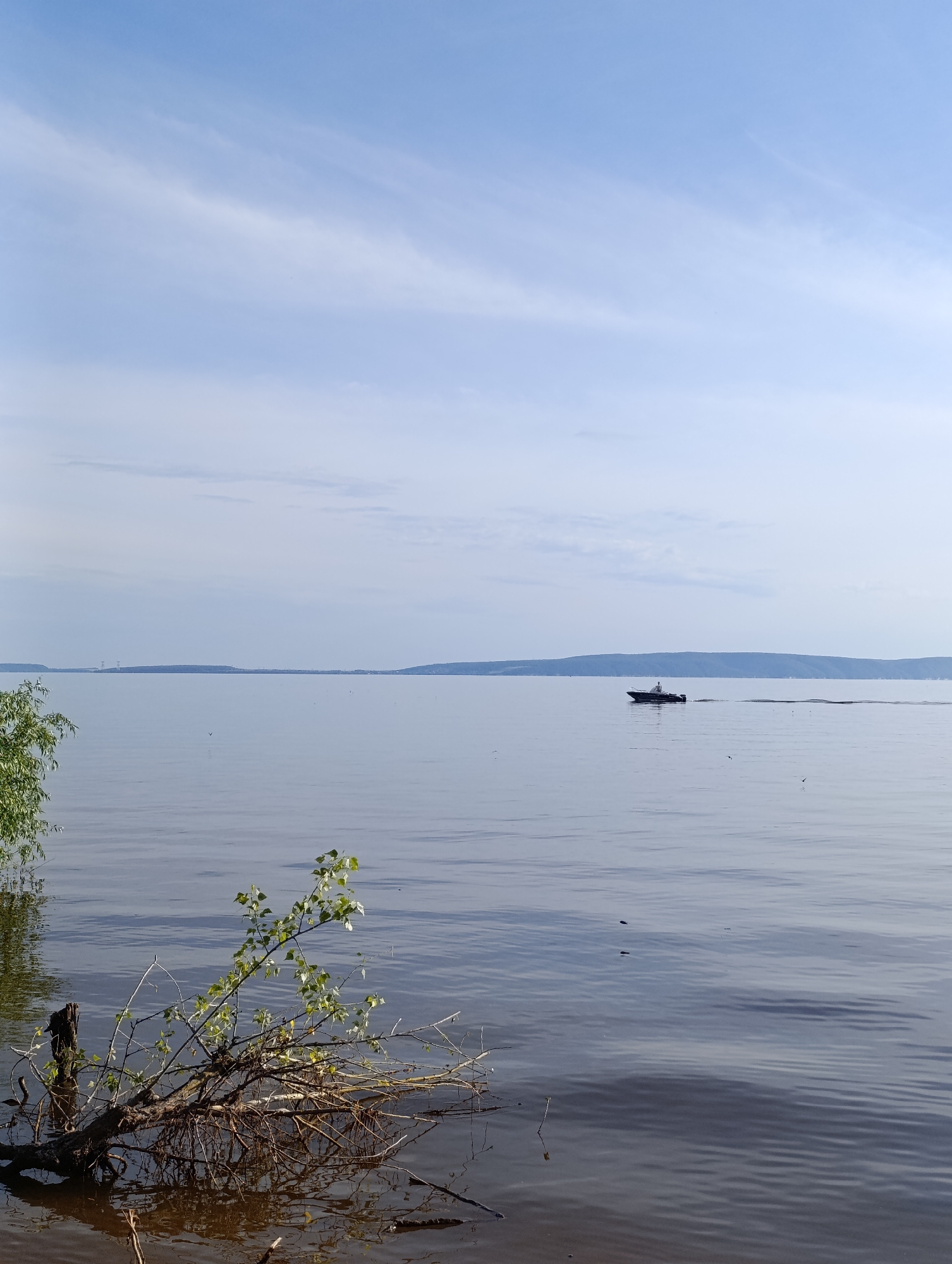 The image depicts a serene natural landscape. In the foreground, a fallen tree branch with green leaves lies partially submerged in the water, its roots exposed and tangled. The water itself is calm, reflecting the muted tones of the sky. In the middle ground, a small boat with a single person aboard is moving across the water, leaving a faint wake. The boat appears to be dark in color, possibly a motorboat. In the background, a long, low-lying landmass or island stretches across the horizon, its silhouette softened by distance. The sky above is a pale blue with thin, wispy clouds, suggesting fair weather. The overall impression is one of tranquility and a peaceful day spent by the water.