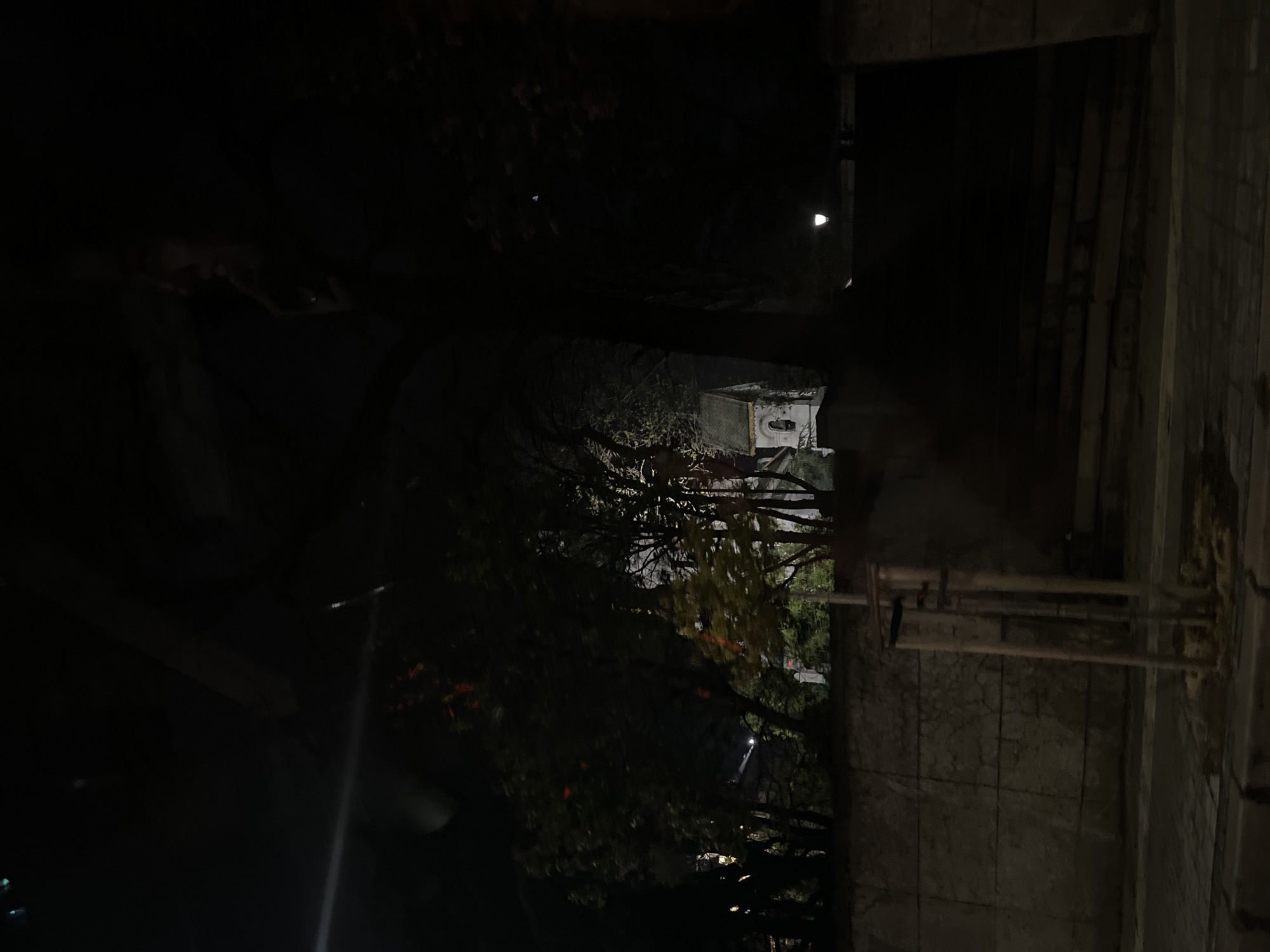 This media file presents a dark, nighttime outdoor scene in Sofia, Bulgaria, characterized by limited visibility and artificial light sources.
The central part of the image is dominated by dense, dark foliage and tree branches, some showing faint hints of green. Nestled within this overgrown area, towards the mid-ground, is a prominent white, rectangular object. This object appears to be an abandoned appliance or industrial unit, possibly an old washing machine or a large cooler, featuring a distinct grid-like pattern on its visible surface and some internal components.
On the far right, a tall, textured wall, seemingly constructed from concrete or stone, rises vertically. It displays a rough, worn surface with variations in tone and several horizontal and vertical pipes or structural beams attached to it.
Artificial light sources are visible in the distance. A bright, white point of light, likely a street lamp or a building light, shines in the upper-mid section of the image, providing the primary illumination for the scene. Another, less distinct light source can be glimpsed further back.
The time of day is clearly night, as indicated by the deep shadows and reliance on artificial illumination. The setting appears to be an urban or semi-urban outdoor space, possibly an alley, a backyard, or an unused lot, conveying a sense of neglect or abandonment. No human activity or visible text is present in the image.