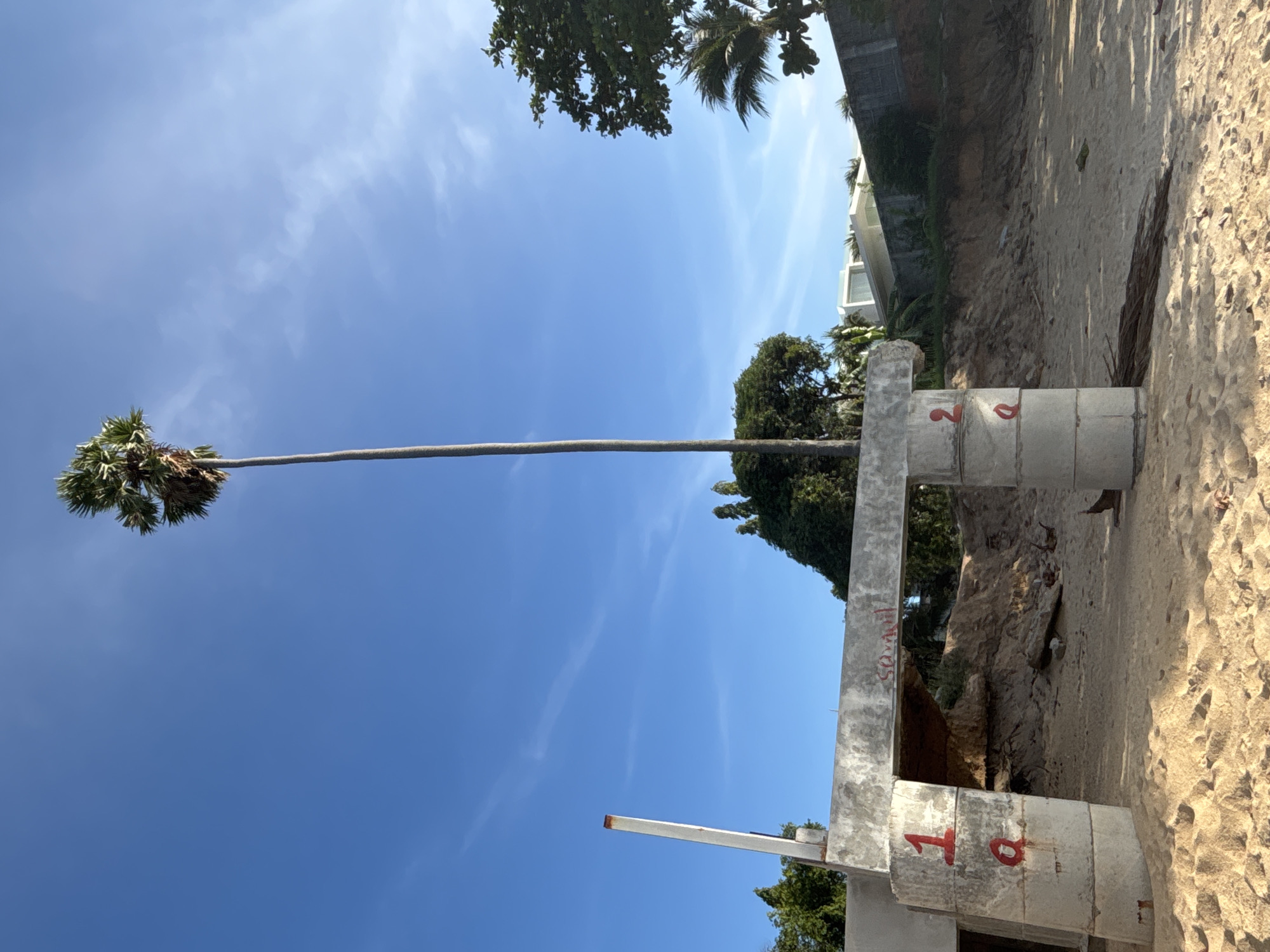 A long, thin palm tree with a crown of green fronds stretches across a clear, blue sky with wispy clouds. The tree grows near a sandy beach. Adjacent to the beach, a partially constructed concrete structure with red numerals "18" painted on its surface is visible. The location is in Baan Bo Phut, Thailand.