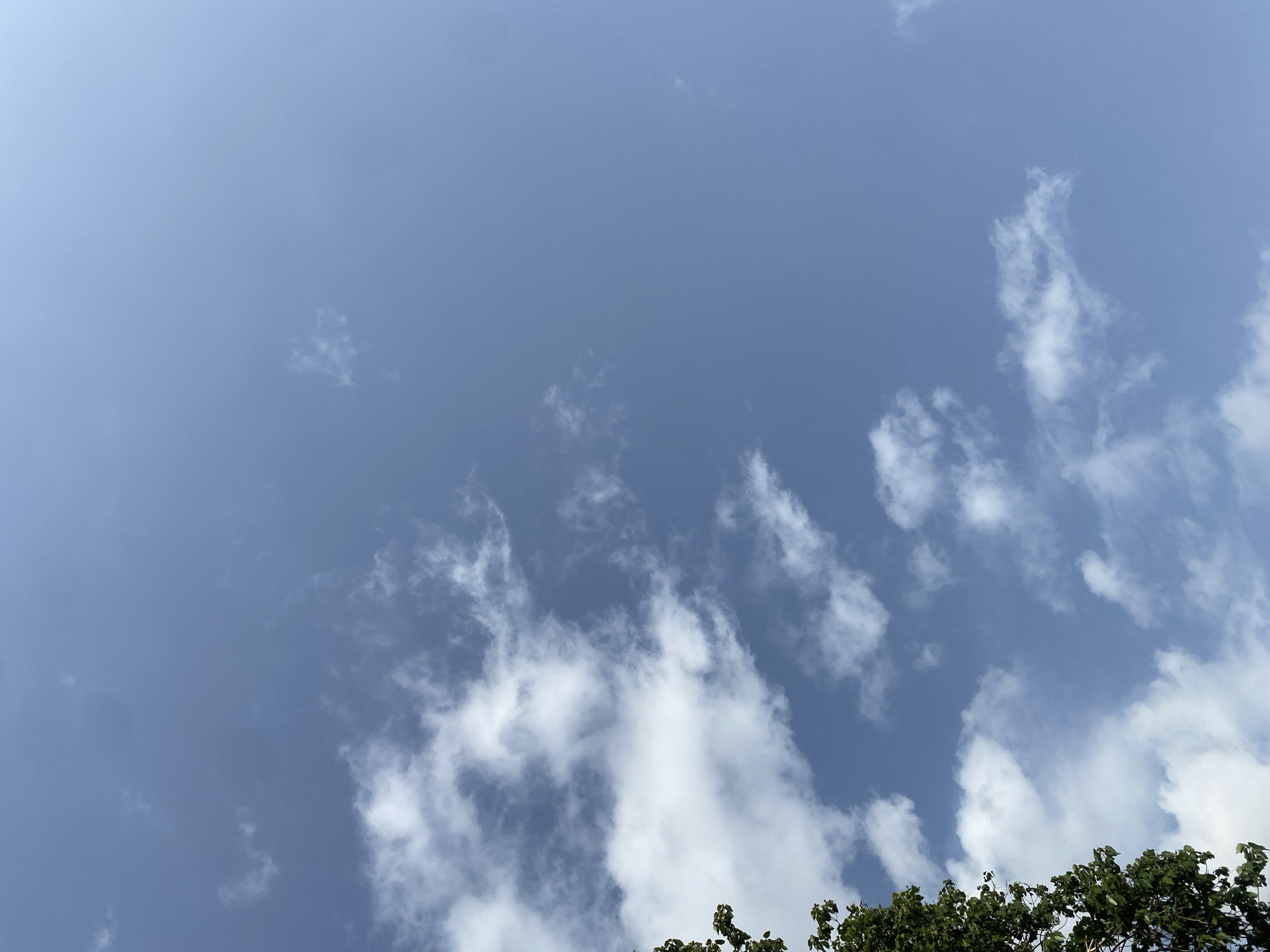The image shows a clear blue sky with scattered white clouds. On the left side of the frame, the top of a green leafy tree is visible. The scene is typical of an outdoor environment in Jalingo, Nigeria, likely on a sunny day. No people or specific structures are identifiable in the image.