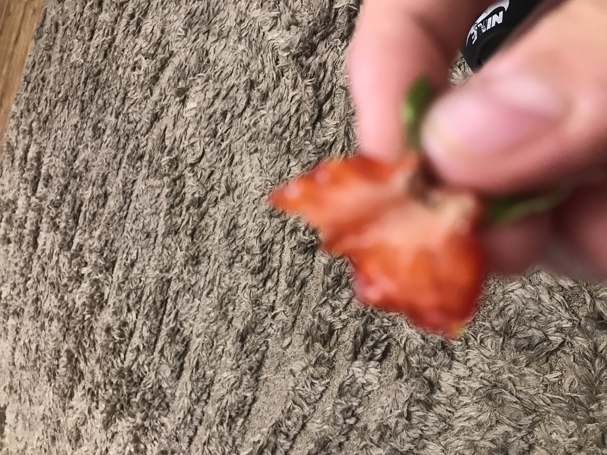 A partially eaten strawberry is held in a person's hand against the backdrop of a gray shag carpet. The person is wearing a black and white Nike-branded slide. It is not possible to ascertain the city of Yerevan, Armenia from the image.