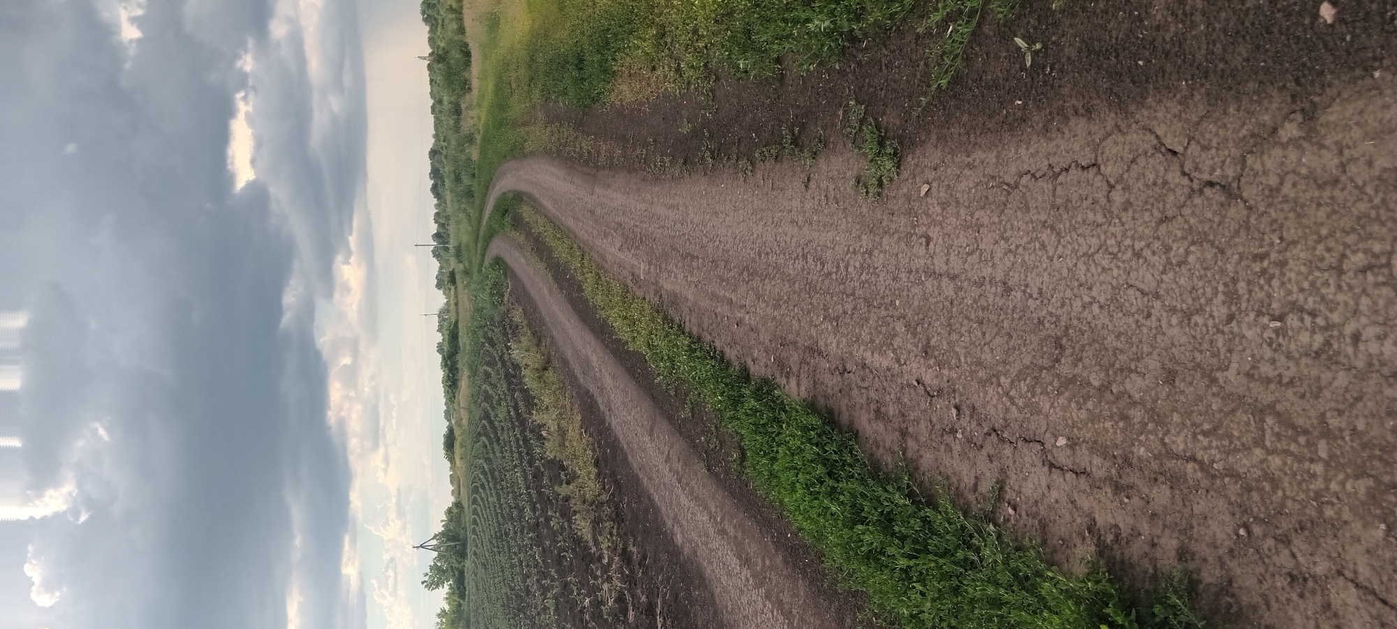 The image depicts a dirt road curving through a rural landscape near Koviahy, Ukraine. The road, with visible tire tracks and cracks, is flanked by a tilled field on the left and grassy areas on the right. The field on the left shows rows of young plants. In the background, a treeline is visible, with utility poles interspersed. The sky is filled with dramatic, dark clouds, suggesting an overcast or impending storm. The overall scene is one of a natural, unpaved pathway in an agricultural setting under a moody sky.