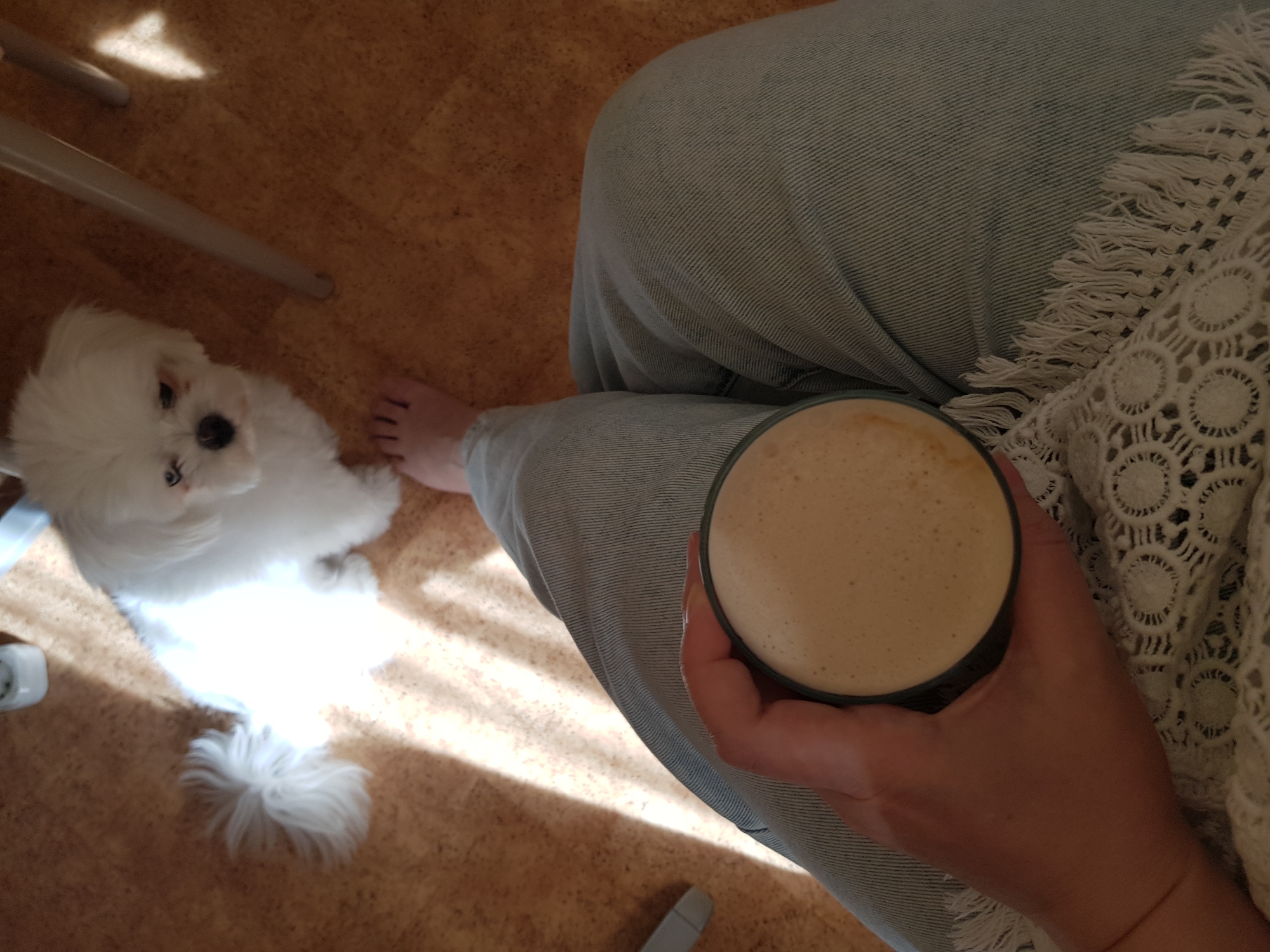 A high-angle shot depicts a person seated, holding a glass filled with a beige, frothy liquid. They are wearing light-wash jeans and a white, crocheted cardigan or top. The hand holding the glass is fair-skinned. To the left, a small, white dog is seated on the floor, looking upward. A portion of a chair leg is also visible in the upper left corner. The floor is a light brown color with a patterned texture.