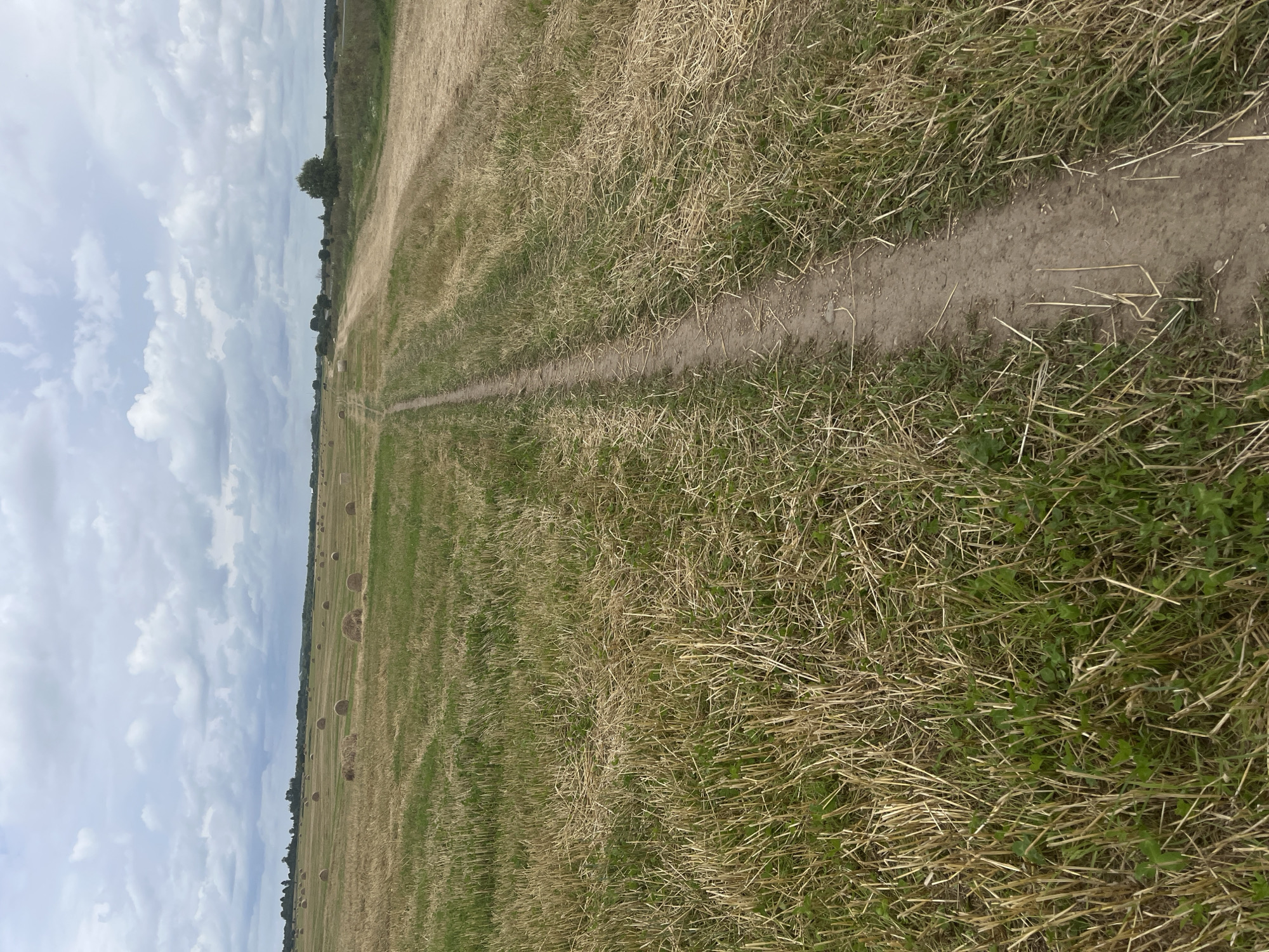 A dirt path winds through a mown field in Dyatlitsy, Russia, with scattered hay bales in the distance under a cloudy sky. The field is a mix of short green grass and dry stubble. The path is narrow and well-trodden, disappearing into the distance towards a treeline on the horizon. The sky is overcast with scattered clouds.