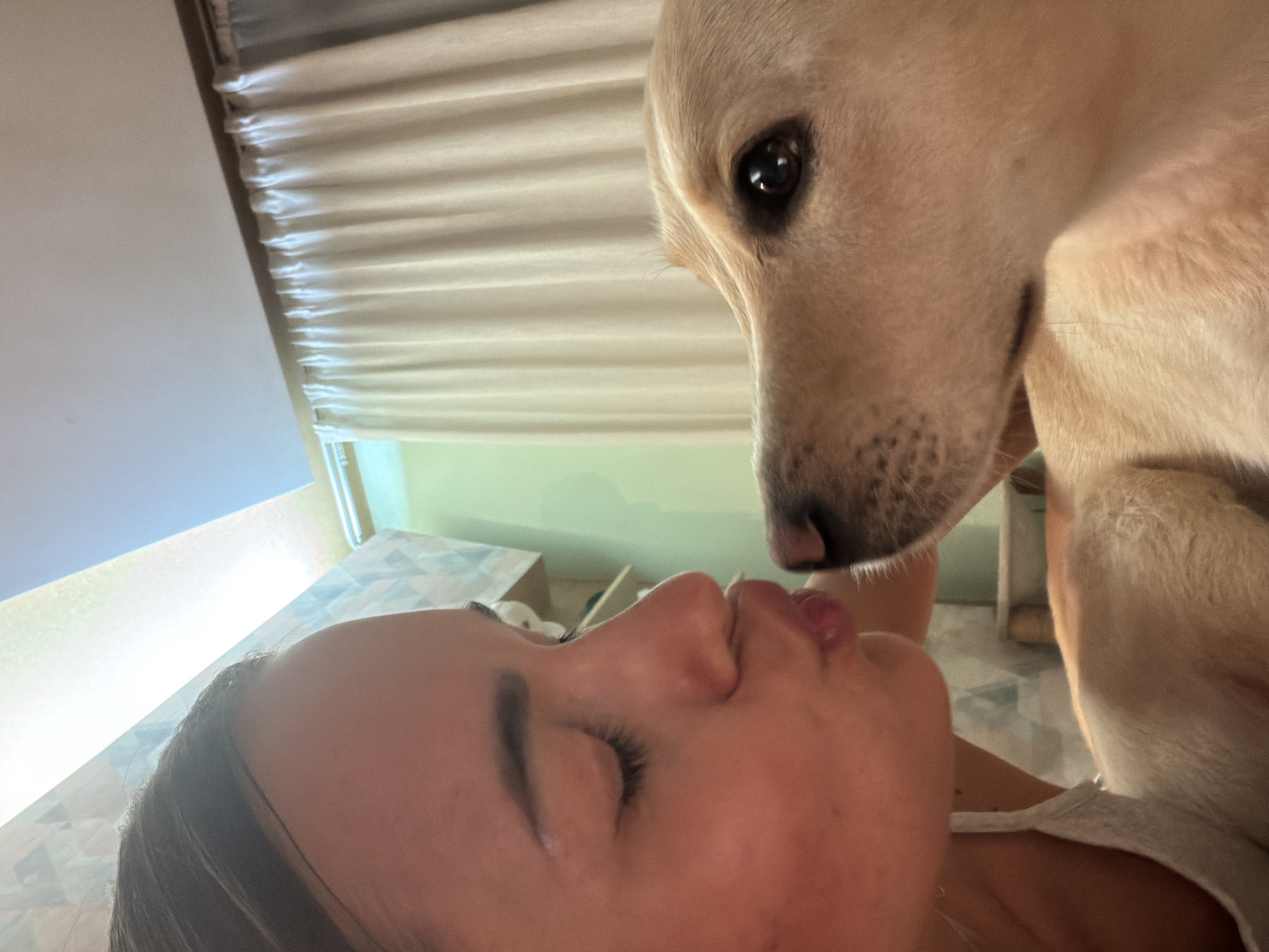 A woman with closed eyes and puckered lips lies supine, seemingly indoors. A light-furred dog leans its head downwards, its snout near the woman's face. The background features a window with closed blinds and a partially visible table with a patterned surface. The location in the city of Krasnoyarsk, Russia, is not discernible from the image.