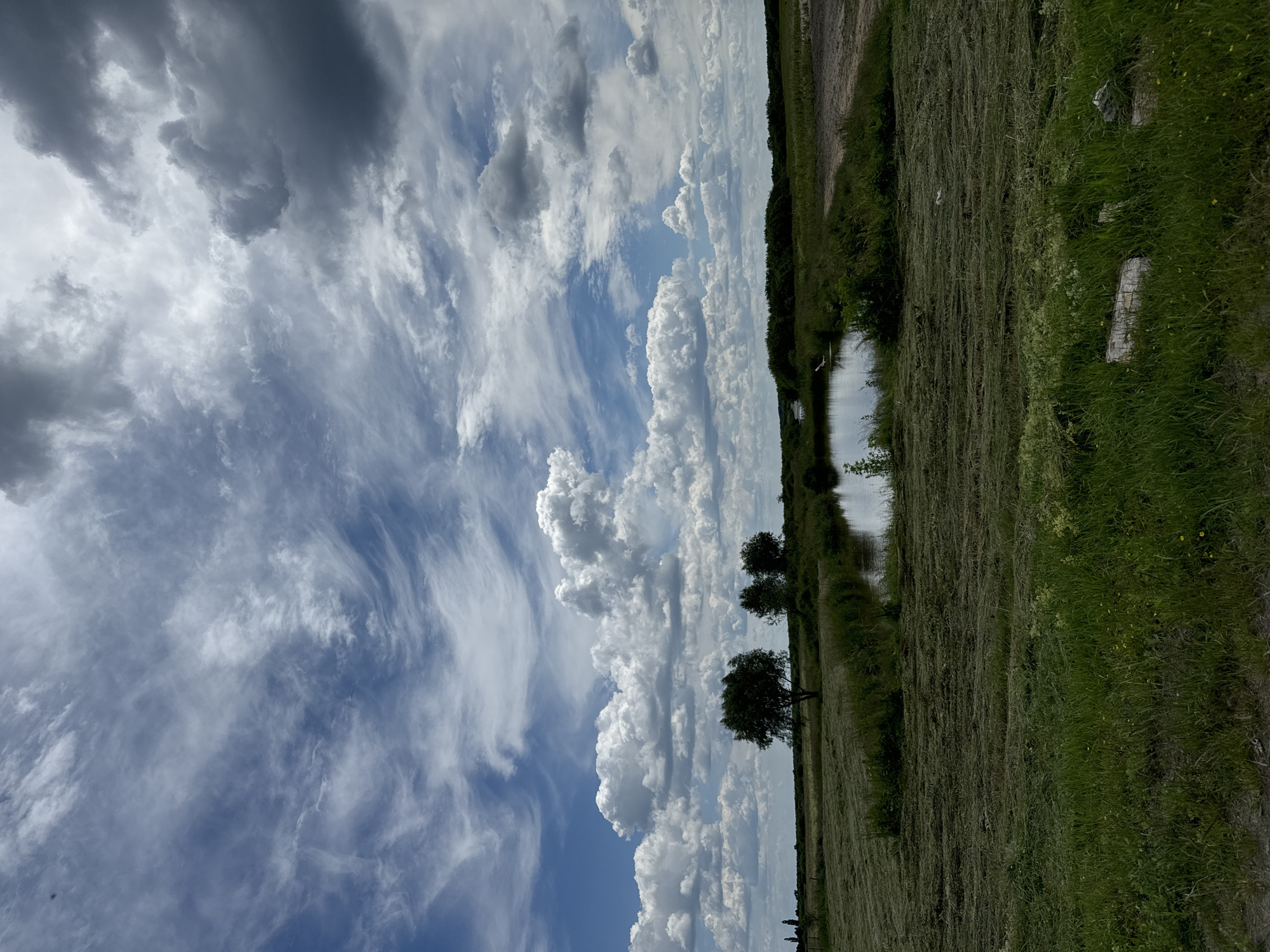 The image depicts a rural landscape in the village of Dovhe, Ukraine, on a cloudy day. The foreground is dominated by a mowed field with distinct rows of cut grass, indicating recent agricultural activity. A small pond is visible in the middle ground, surrounded by lush green vegetation and trees. In the distance, a line of trees and foliage forms the horizon. The sky is filled with a dramatic display of clouds, ranging from wispy cirrus formations to large, billowing cumulus clouds, with patches of blue sky visible between them. The overall impression is one of a tranquil, pastoral setting under a dynamic sky.