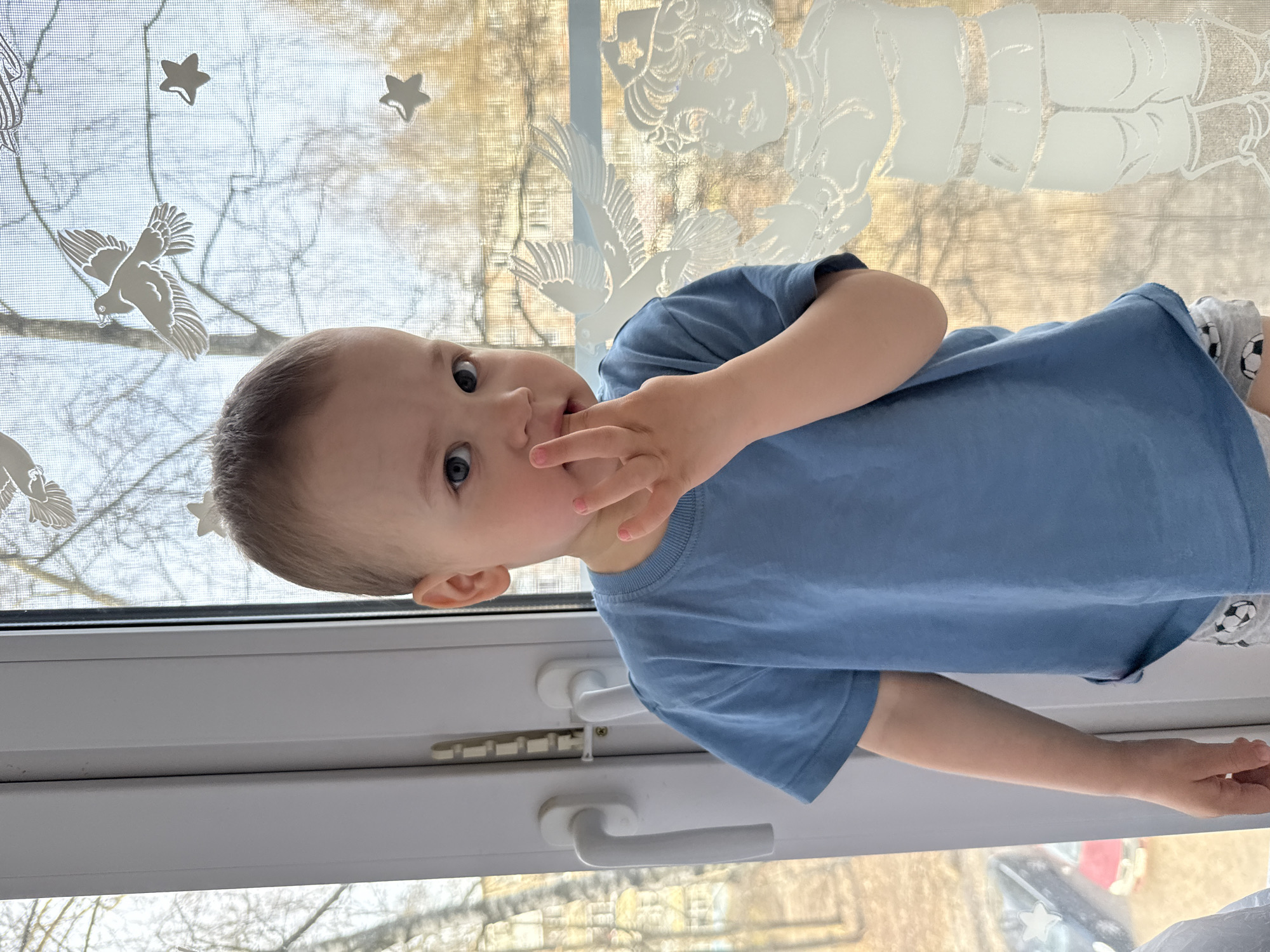 A toddler with fair skin and light brown hair, wearing a blue t-shirt and patterned gray shorts, is sitting on a white window ledge. The child has his fingers in his mouth and is looking at the camera. The window has white frames and a clear view to the outside, with a decorative film featuring stars, birds, and other designs. The scene is likely indoors during daylight, showing part of the exterior environment with trees and buildings. The location is Rusanovo, Russia.
