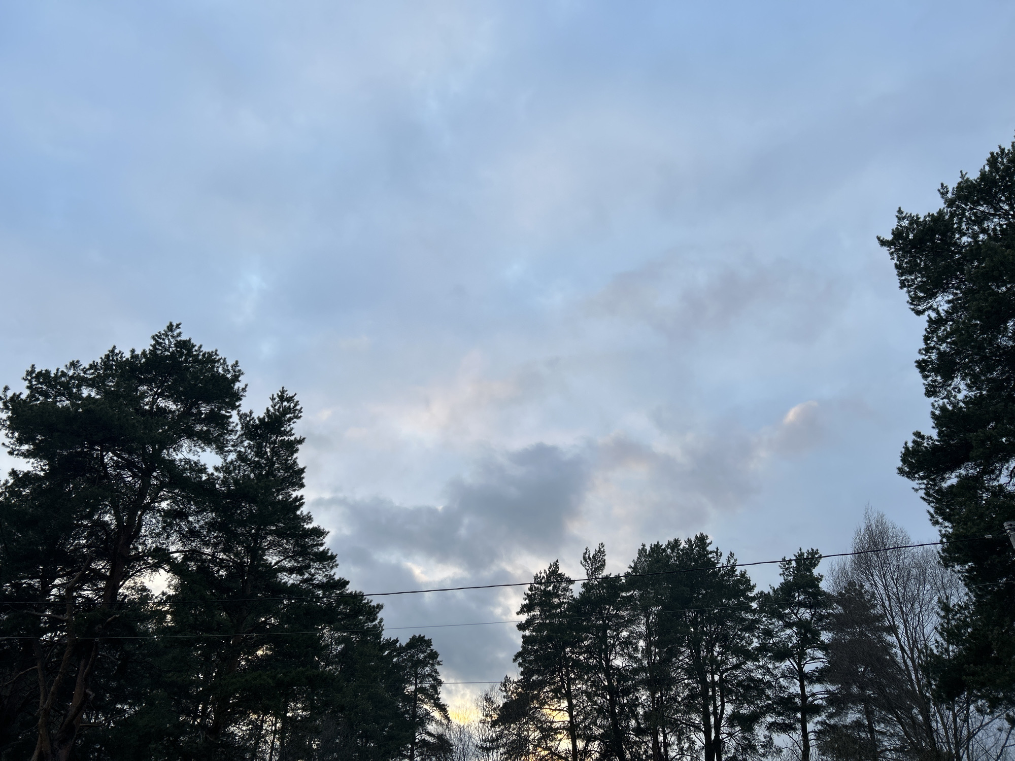 The image captures a serene outdoor scene, likely in Rusalevka, Russia, looking upwards towards a cloudy sky framed by the silhouettes of numerous trees. The sky occupies roughly the upper two-thirds of the frame, displaying a mix of light blue and soft grey clouds. Patches of brighter, slightly golden or pinkish light peek through some of the clouds and between the trees, suggesting either early morning or late afternoon light, possibly indicating a sunrise or sunset.
Dominating the lower half of the image are the dark, silhouetted forms of tall pine trees with dense foliage, particularly on the left and right edges, and across the bottom. Some bare deciduous trees are also visible, especially towards the right mid-ground. The backlighting effect creates strong contrasts, rendering the trees almost entirely black against the brighter sky, with subtle details of their branches and needles still discernible.
Stretching horizontally across the mid-section of the image, roughly two-thirds down from the top, are two dark power lines, adding a subtle element of human infrastructure to the natural landscape. The overall weather appears overcast but not stormy, with the clouds providing diffused light. No explicit activity or event is taking place, and no visible text is present in the image. The scene evokes a sense of peacefulness and tranquility.