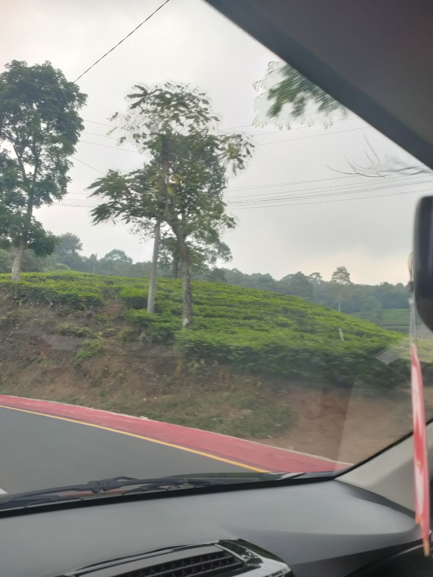 This image shows a view from inside a car, looking out through the windshield at a tea plantation on a hillside. The sky is overcast and grey. In the foreground, the car's dashboard and windshield wipers are visible. The road in front of the car has a red and yellow stripe on its edge. The hillside is covered in neatly trimmed rows of green tea bushes, with several trees scattered among them. The plantation extends up the slope, with more trees and vegetation visible in the background. The location is identified as a tea plantation in the city of Subang, Indonesia.