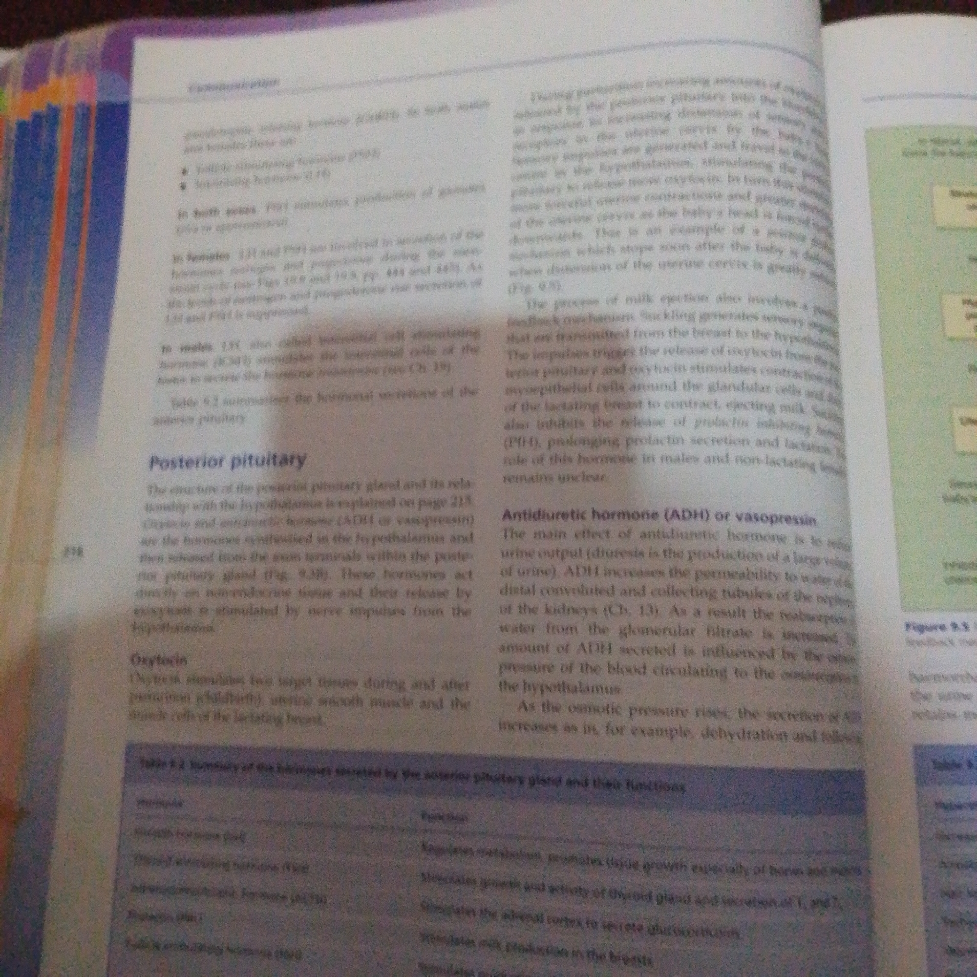 The image shows an open textbook with several paragraphs of text and a table. The text discusses the posterior pituitary gland and its hormones, oxytocin and antidiuretic hormone (ADH) or vasopressin. The environment is that of a dimly lit room, likely a study area, with the textbook laid open. There are no people, objects, or actions that can be identified in Jalingo, Nigeria, as this is a close-up of a book page.