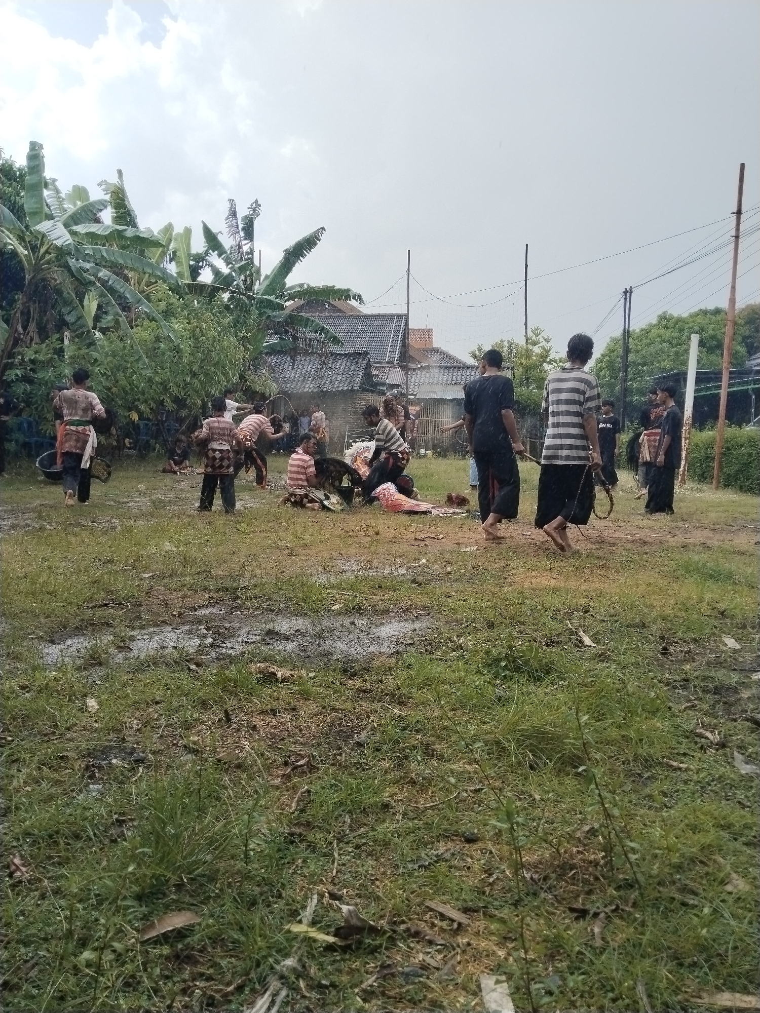 The image shows a group of people in Karang Tengah, Indonesia, in an open grassy area during or after rainfall, given the wet ground and overcast sky. Some individuals are wearing striped shirts and traditional attire, while others are in darker clothing. They appear to be gathered around what seems to be butchered livestock or animal remains. Some are barefoot and carrying objects such as ropes or bowls. The background includes vegetation like banana trees and a residential building with tiled roofs. Power lines and poles are visible in the distance. The scene seems to depict a ritualistic or communal activity involving the preparation of meat.