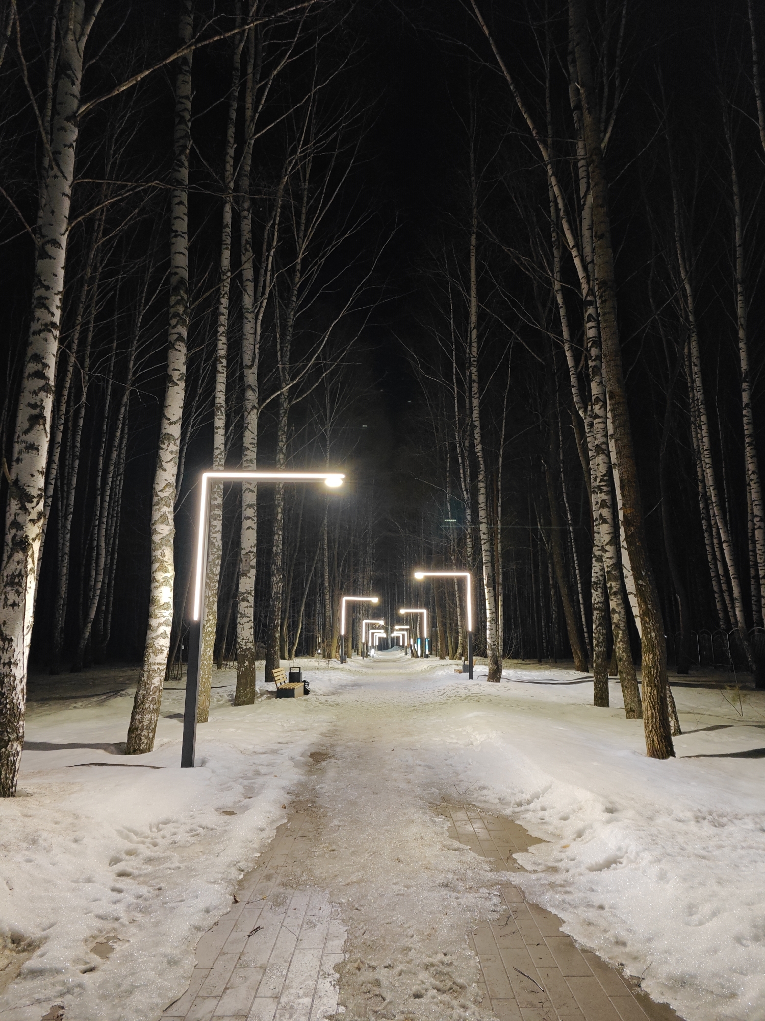 A pathway cuts through a snowy, forested area at night. On either side of the path are rows of birch trees with their characteristic white bark. Modern, rectangular light fixtures illuminate the path at regular intervals, casting a warm glow. Patches of snow cover the ground alongside the paved path. Benches are visible along the path.
Based on the information provided, this location is the city of Chaikovsky, Russia.