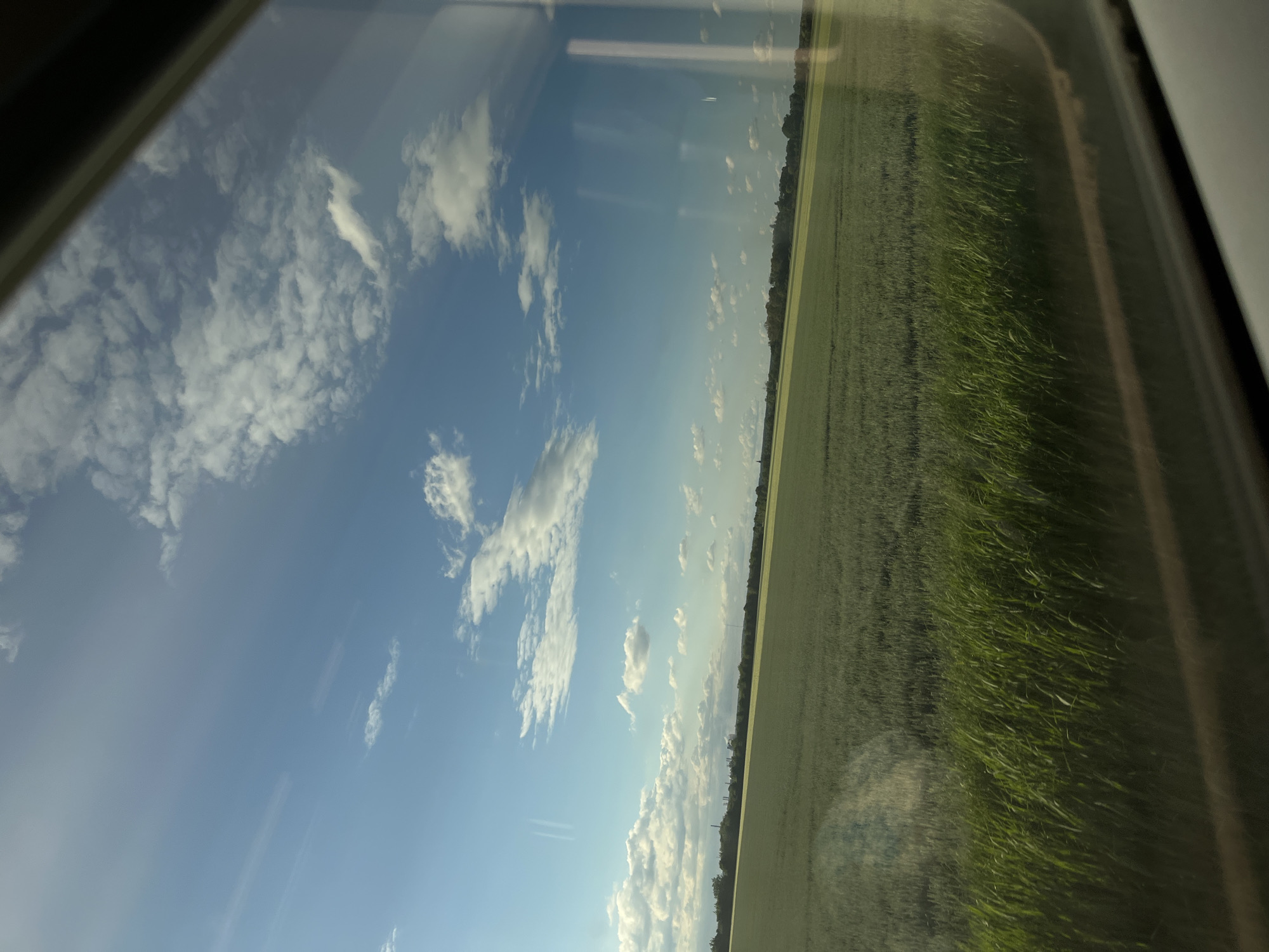 The image captures a view through a window, likely from a moving vehicle, overlooking a vast, green agricultural field under a bright blue sky dotted with white clouds. The field appears to be a crop, possibly wheat or barley, with a distinct texture and varying shades of green. In the distance, a line of trees forms the horizon, beyond which industrial structures are faintly visible, suggesting a proximity to urban or industrial areas. The foreground of the image is dominated by the window frame, which is dark and reflects some light, and a band of taller, more vibrant green grass or reeds. The lighting suggests it is daytime, with sunlight casting shadows and illuminating the landscape. This scene could be located in the outskirts of Wittenberg, Germany, an area known for its agricultural lands surrounding the historic city.
