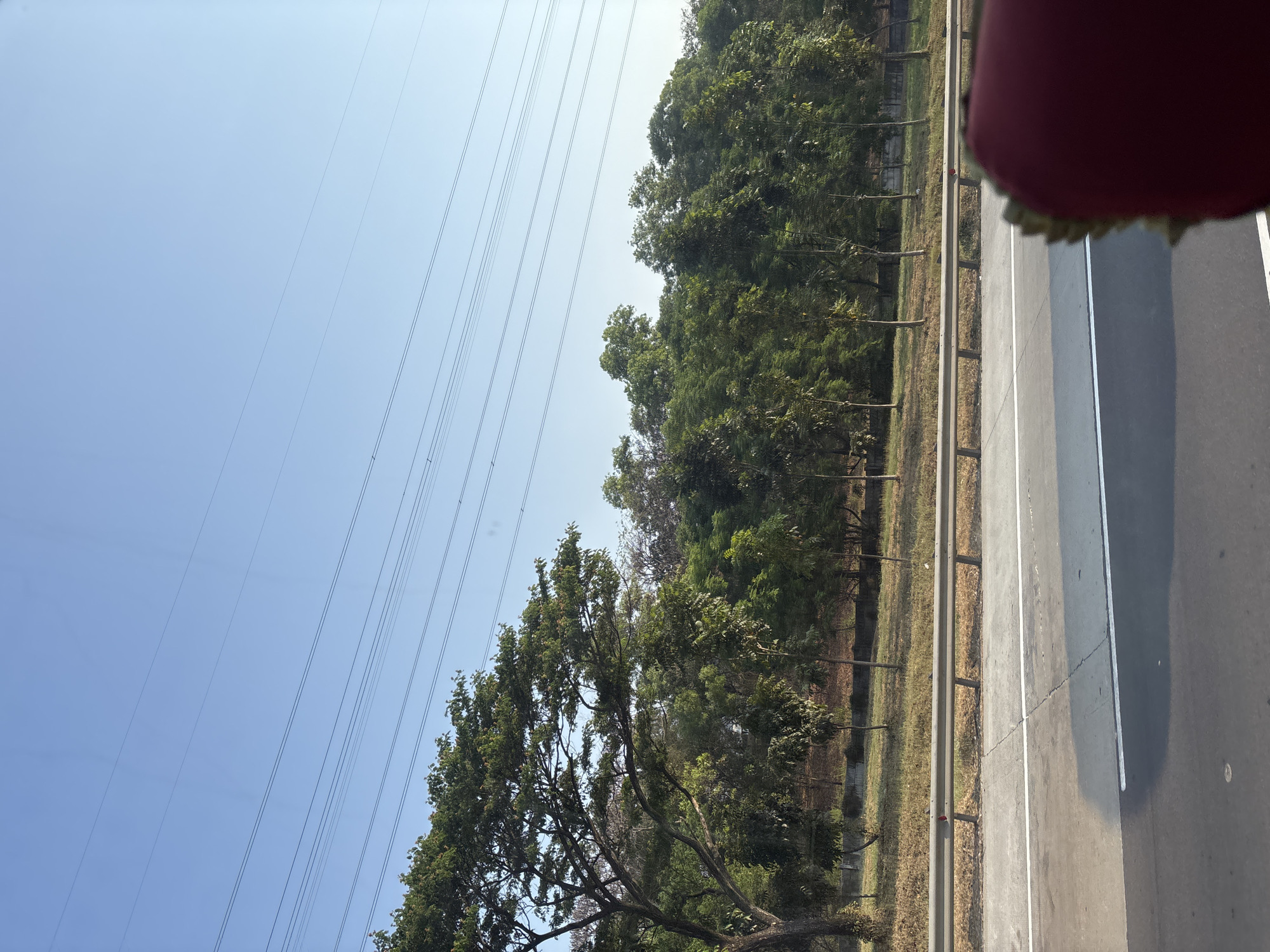 The image depicts a roadside view from a vehicle, likely in Karawang, Indonesia, given the context. The scene features a clear blue sky with several parallel power lines stretching horizontally across the upper portion. Below the sky, a line of trees forms a green canopy, with a large, mature tree on the left side dominating the frame. The trees are set against a backdrop of a grassy embankment and a concrete barrier. In the foreground, a section of a paved road is visible, marked with white lines and a guardrail. A blurred red object, possibly part of the vehicle's interior, occupies the bottom right corner of the image. The overall impression is one of a rural or semi-urban landscape on a sunny day.