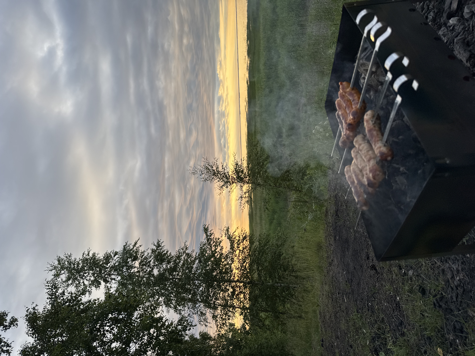 The image depicts an outdoor scene at dusk, likely in Bolshaya Izhora, Russia, with a focus on a barbecue grill. Several skewers of sausages are cooking over charcoal, producing visible smoke. The grill itself is black and positioned on dark, uneven ground covered with sparse vegetation. To the left, tall, leafy trees are prominent, with a dark dirt path in the foreground. In the background, a wide expanse of green marshland stretches towards a body of water, possibly the Gulf of Finland, which is illuminated by the soft orange and yellow hues of a setting sun. The sky is overcast with textured clouds, allowing for a diffused glow from the horizon. No people are visible in the frame.
