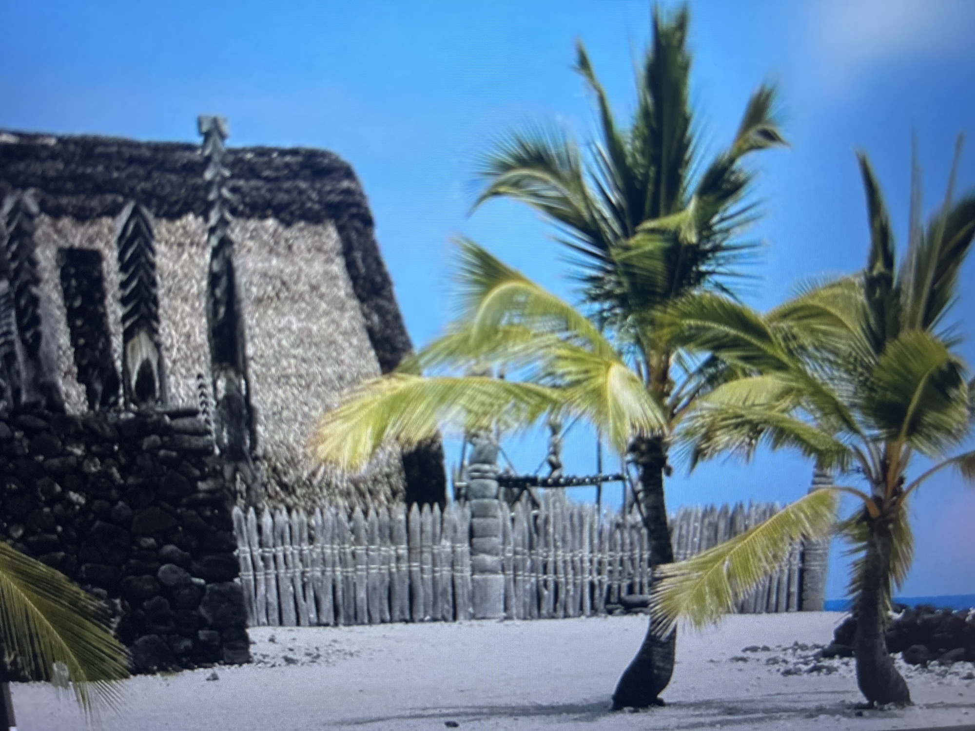 The image depicts a traditional Hawaiian scene. A thatched-roof structure with dark stone walls sits to the left, alongside a wooden fence. Two palm trees are on the right side of the frame. The sky is clear blue. The setting appears to be a sandy area with rocks in the distance. This scene is not located in Varna, Bulgaria.