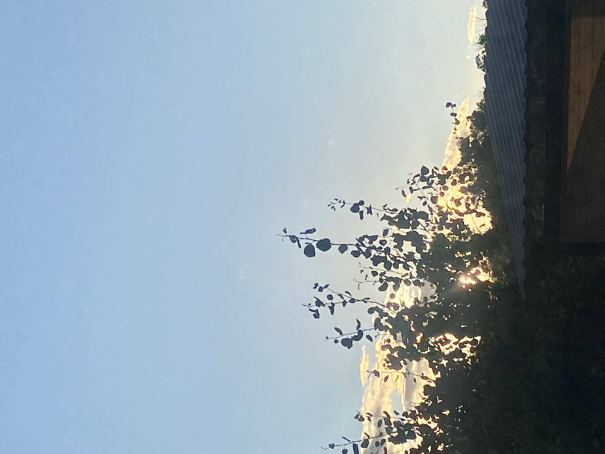 The image depicts a serene sky scene with a clear blue sky dominating the upper portion. Below, silhouetted tree branches with dark leaves reach upwards, partially obscuring a bright sun peeking through. The sunlight creates a lens flare effect, casting a warm glow. In the middle ground, a line of clouds is illuminated by the sun, appearing golden and white. The foreground is mostly dark, with the silhouette of a dark, textured roofline, possibly a house or building, running horizontally across the bottom. The scene suggests a sunset or sunrise, possibly from a residential area. The location is identified as Dnipro, Ukraine.