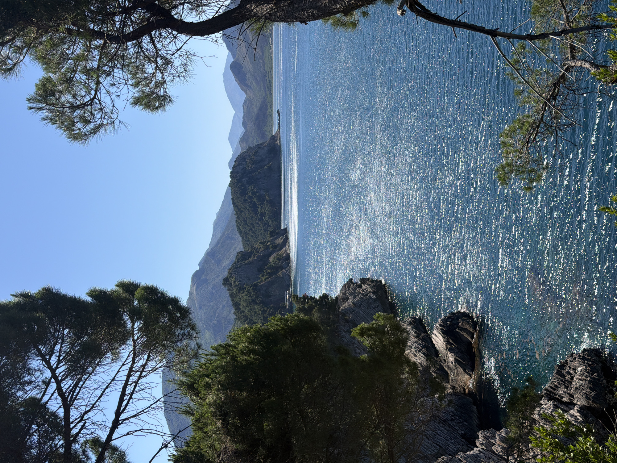 The image depicts a view of the Adriatic Sea from Mirište, Montenegro, on a sunny day. The water surface glitters with sunlight. In the foreground, rocky outcrops and trees frame the view. Mountains are visible in the background across the water. No people are visible.