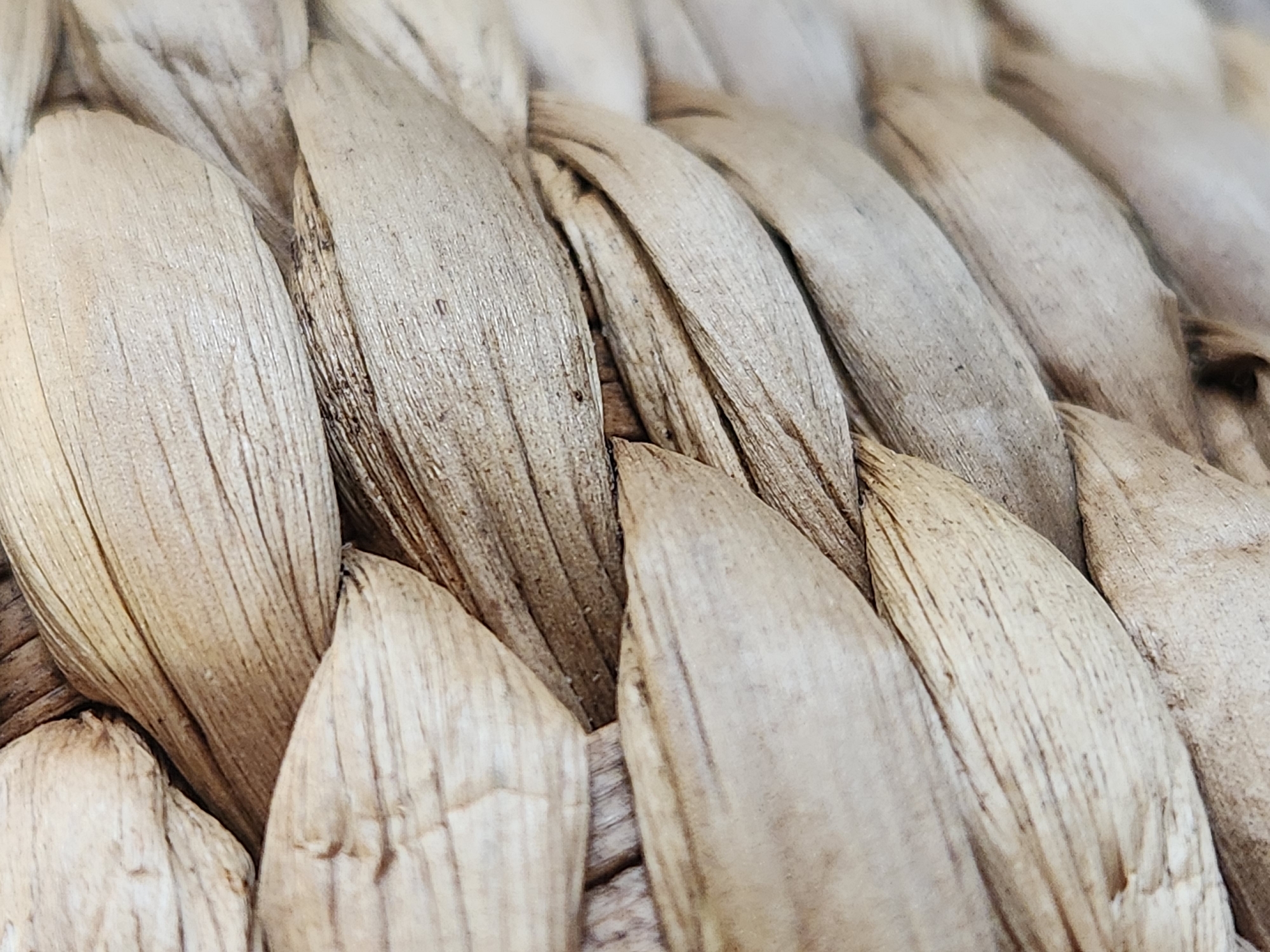 The image is a close-up, high-angle shot of woven, dried plant material, likely seagrass or straw, forming a textured surface. The material is a natural, light tan color with variations in shade due to the weave and natural drying process, showing fine parallel lines running along the length of each strand. The weave is tight and interlocking, creating a sense of depth and shadow within the pattern. There are no people, animals, or any discernible man-made objects or environmental features that would suggest a specific location in Maitland, United States of America. The image focuses solely on the textural and material properties of the woven plant matter.