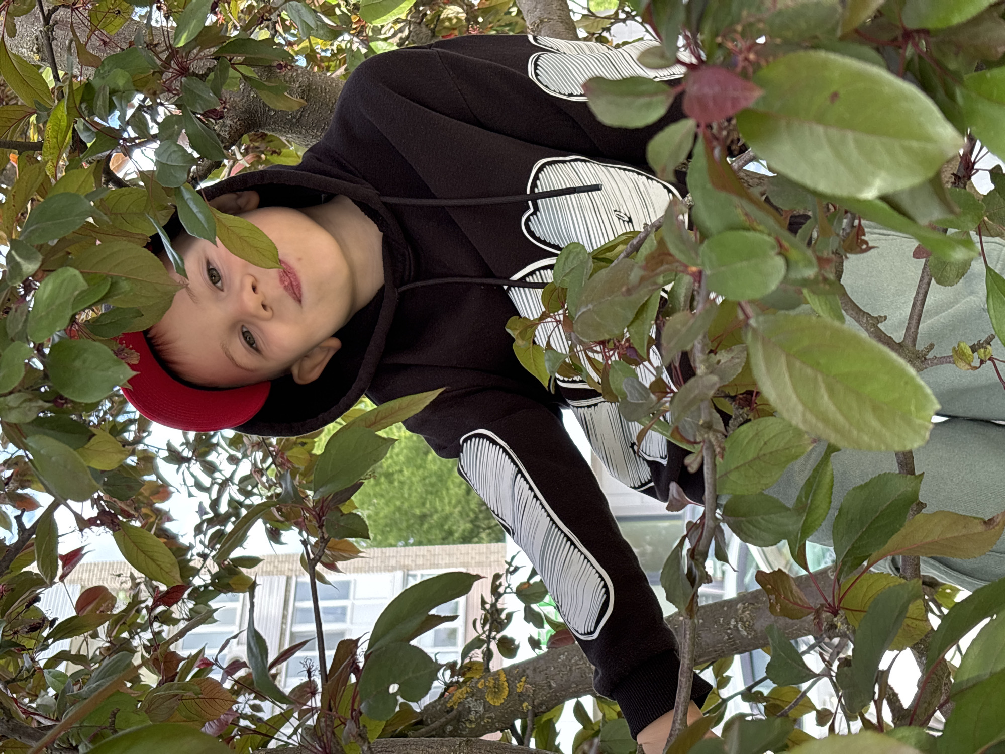A young boy wearing a black hooded sweatshirt with white decorative stripes and a red baseball cap is perched in a tree with green and red leaves. The location may be Rusanovo, Russia. In the background, a building with white siding and windows can be seen through the branches.