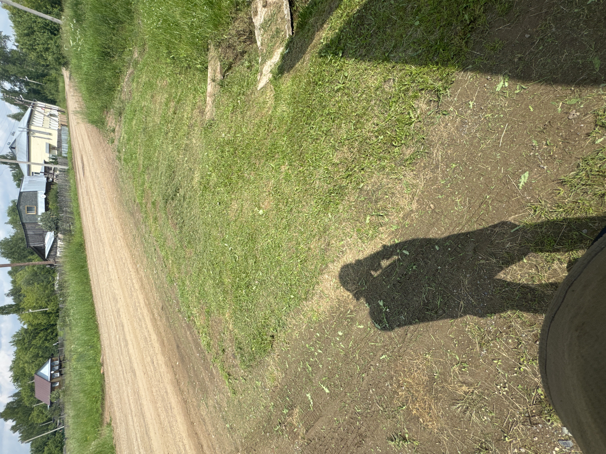 In Borodulino, Russia, this image depicts a sun-drenched, dusty dirt road bordered by lush green grass on both sides. The road meanders into the distance, where a cluster of wooden buildings, including a yellow two-story house with a light-colored roof and a smaller brown house with a dark roof, are visible amongst a dense backdrop of trees. A shadow of a person holding a camera is cast on the grassy area in the foreground, indicating the photographer's presence. The sky is a light blue with scattered white clouds. The overall scene suggests a rural, possibly village, setting in the summer.