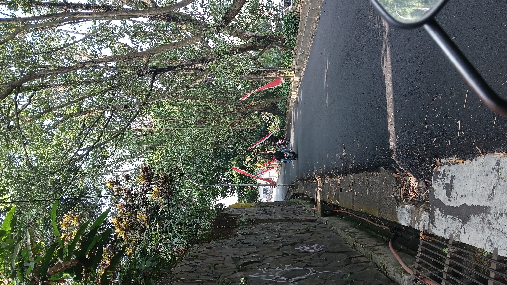The image shows a street in Bandung City, Indonesia, lined with trees and a stone wall. The road is asphalt, with some debris on the side. There are several motorcycles on the road, and some red and white flags are displayed along the street, suggesting a national holiday or celebration. The trees are large and leafy, with some vines hanging down. A street light is visible in the middle of the road. A drain or ditch runs along the side of the road, next to the stone wall. The perspective suggests the photo was taken from another motorcycle, with the handlebar and mirror visible in the foreground.