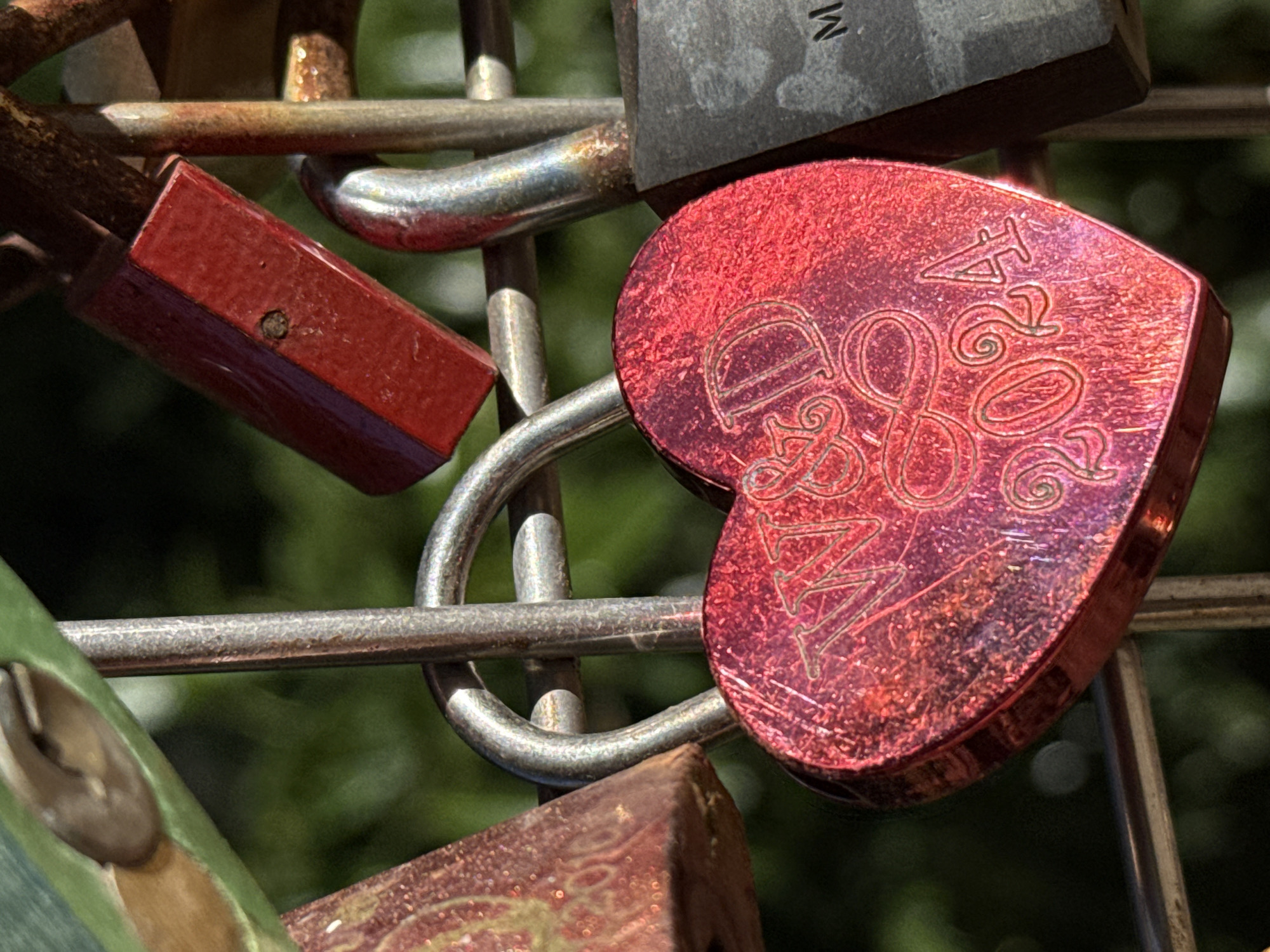 A close-up, low-angle shot captures a heart-shaped red padlock engraved with "W&D 2024" hanging on a fence in Bad Sachsa, Germany. The padlock is the central subject, with its metallic surface reflecting light. Behind the padlock, the green foliage of trees is visible, creating a blurred background. Other padlocks, varying in color and shape, are also present, attached to the same fence, suggesting a location where people attach locks as a symbol of commitment or remembrance. The fence itself is composed of metal bars, some of which are rusted. The overall scene is outdoors, under natural lighting.