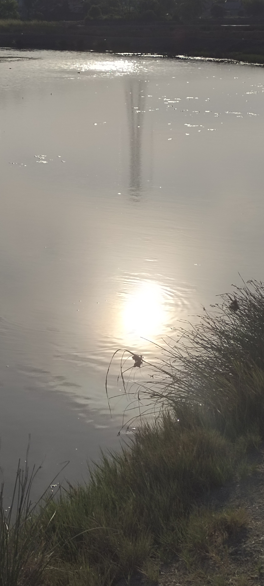 The image depicts a body of water reflecting sunlight, likely a pond or a calm section of a river, with vegetation growing along the edge. The sun's reflection is prominent in the center of the water, creating a bright spot. Some objects are visible on the water surface. A transmission tower is reflected in the water. The location is likely near Lhokseumawe, Indonesia, given the prompt's specification.