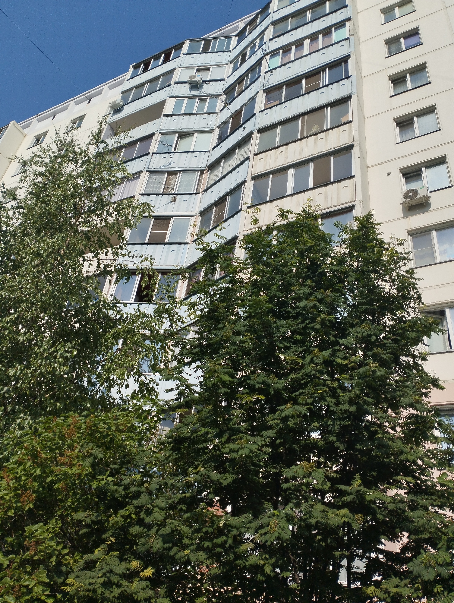 The image shows a tall, multi-story apartment building with a light-colored facade and a curved section with blue paneling and many windows. There are trees in front of the building, with dense green foliage partially obscuring the lower floors. The sky above is clear and blue. The building appears to be located in a residential area in Novosibirsk, Russia, likely a typical Soviet-era panel building. There are no people visible in the image. The scene is still and daytime.